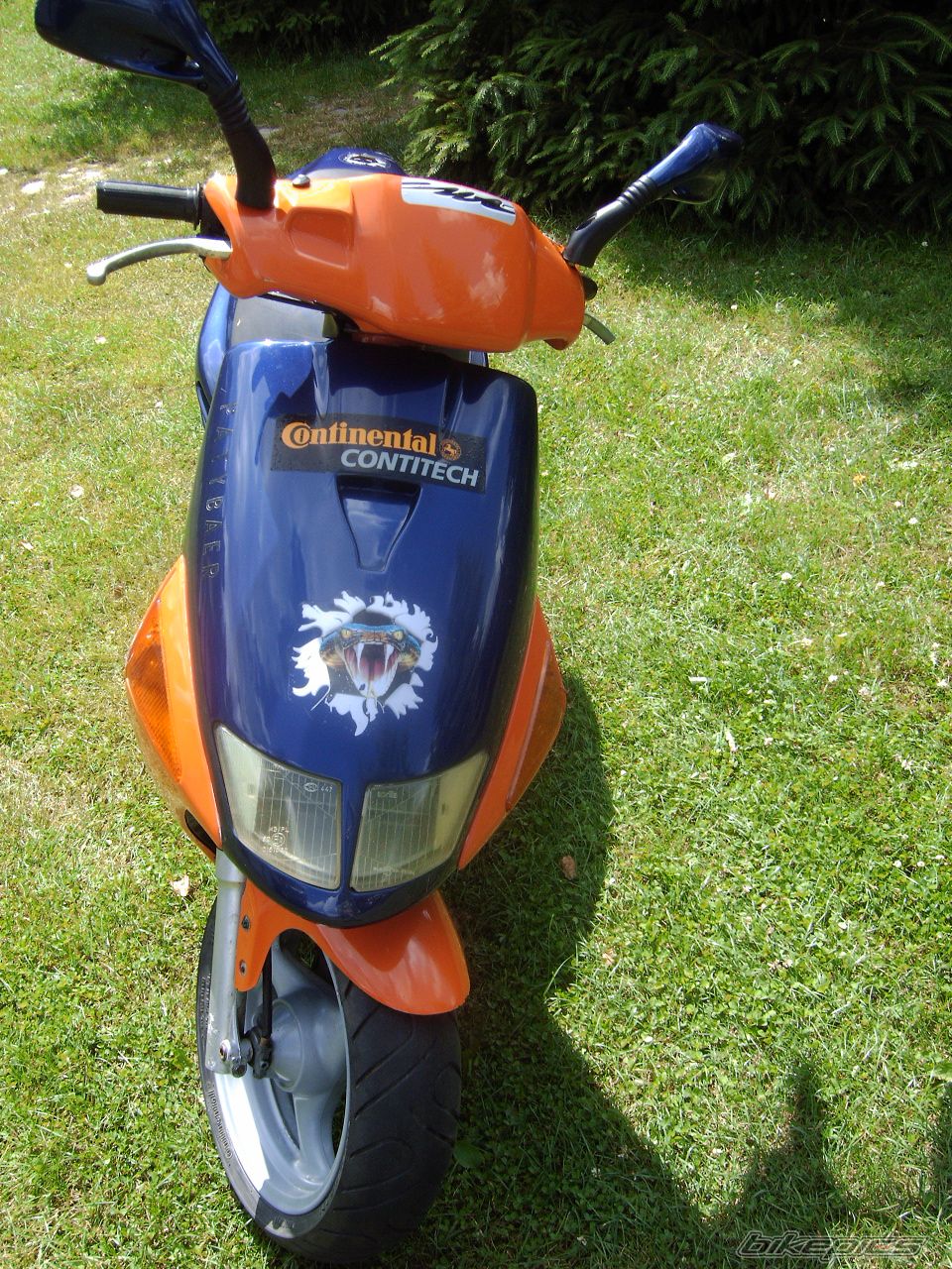 1982 SIMSON S 51 | Picture 2235938 motorcycle photo