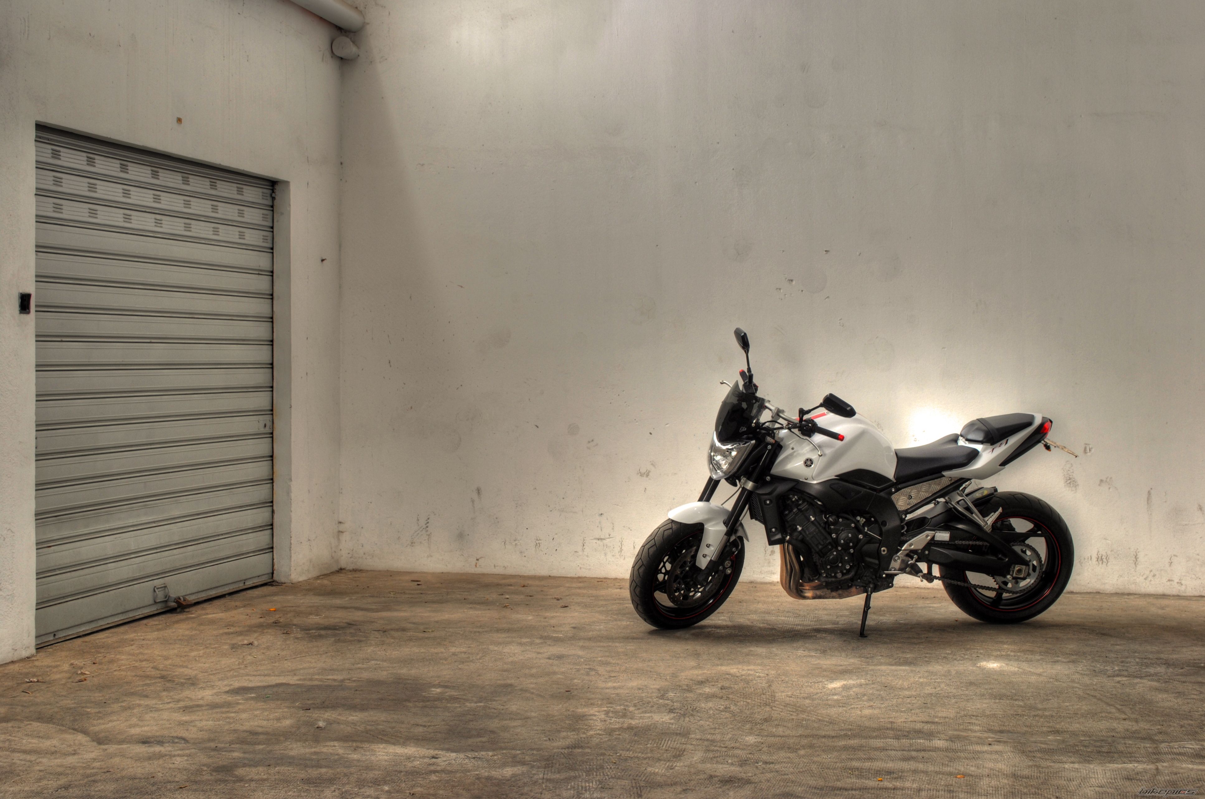 2008 YAMAHA FZ 1N | Picture 2236848 motorcycle photo