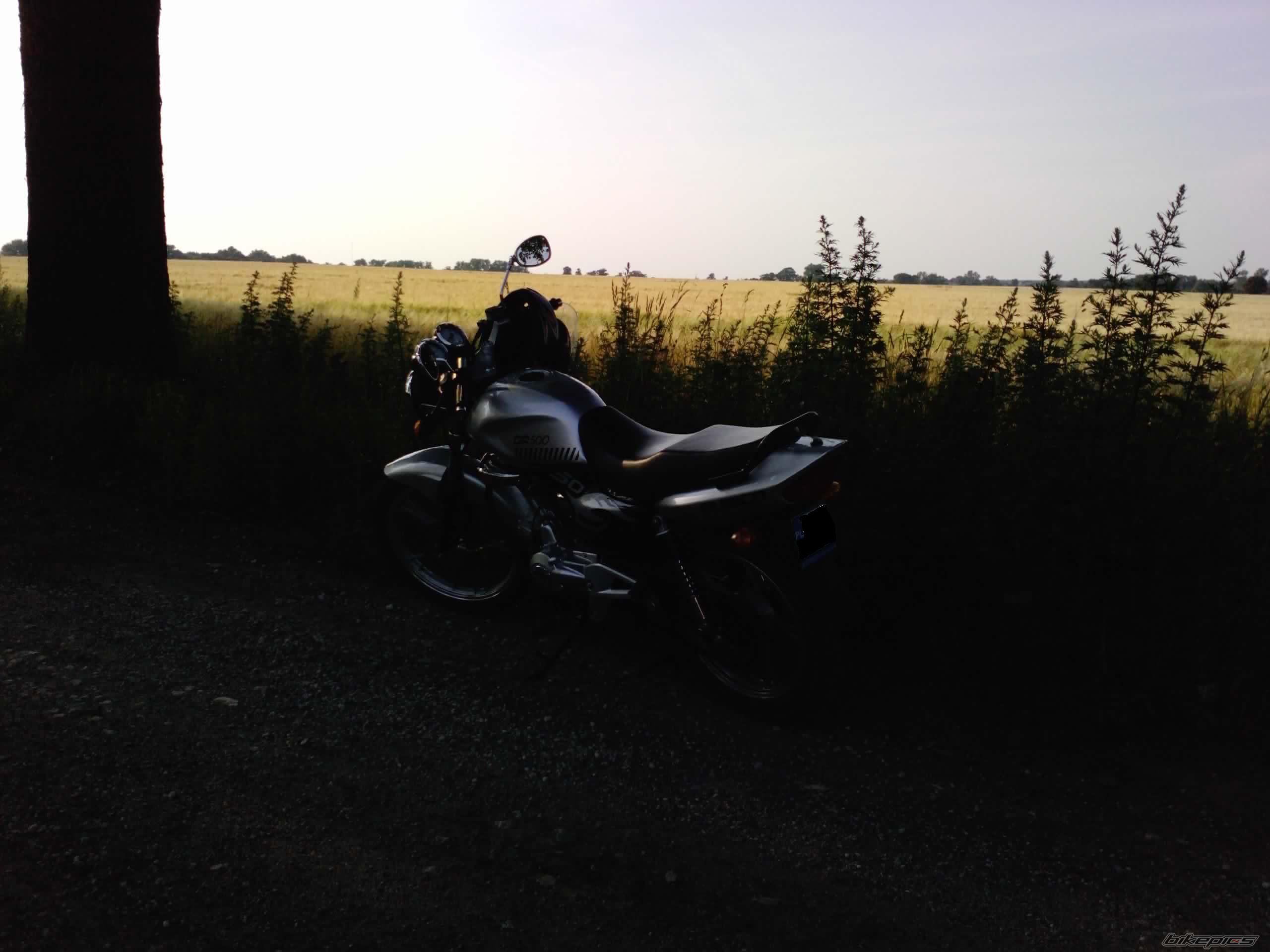 2010 APRILIA RS 50 | Picture 2236978 motorcycle photo
