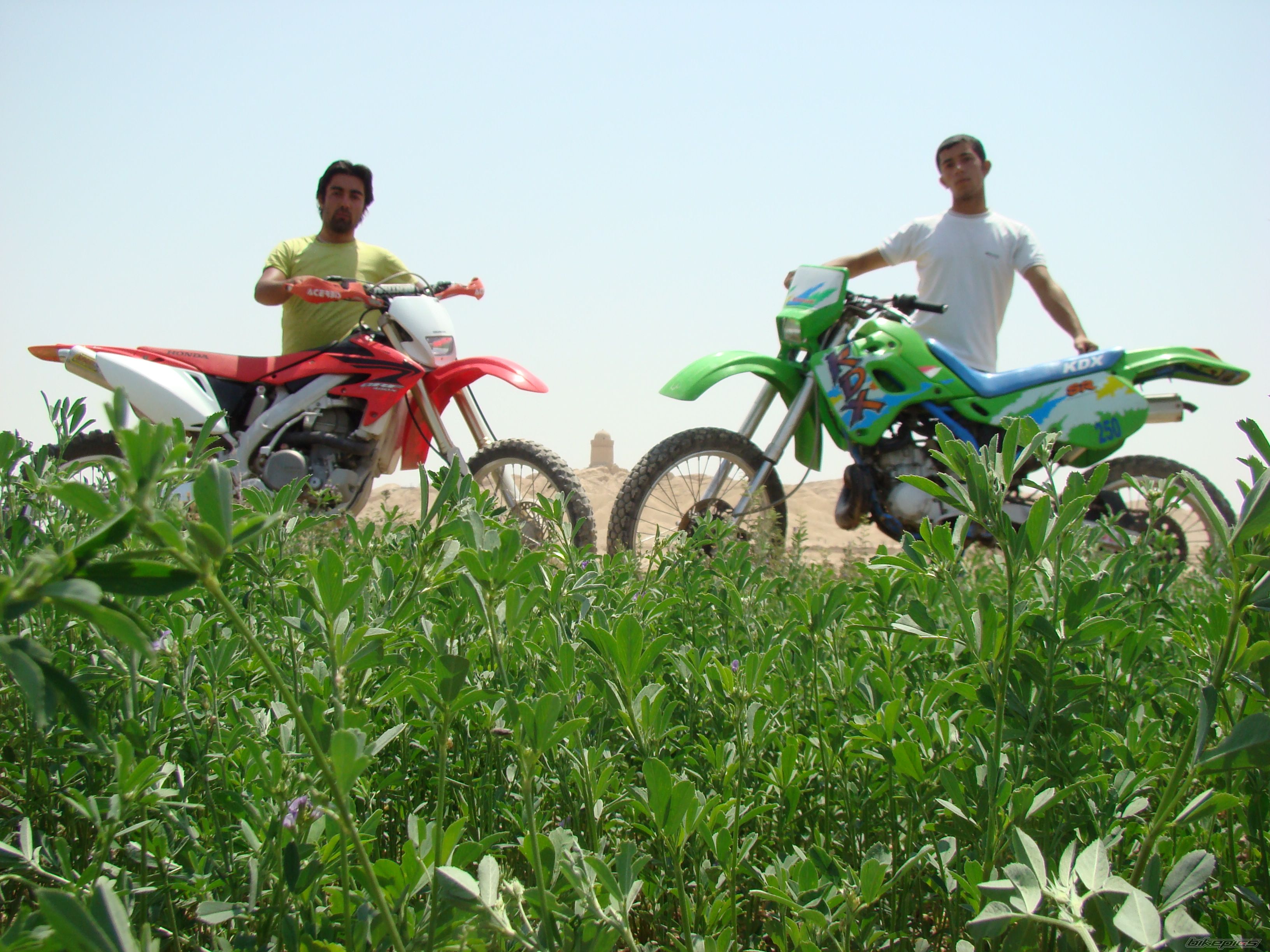 2010 KAWASAKI KDX 250 | Picture 2237200 motorcycle photo