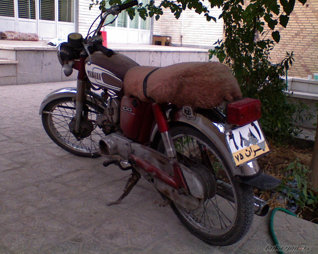 1986 YAMAHA YB 100 | Picture 2237301 motorcycle photo