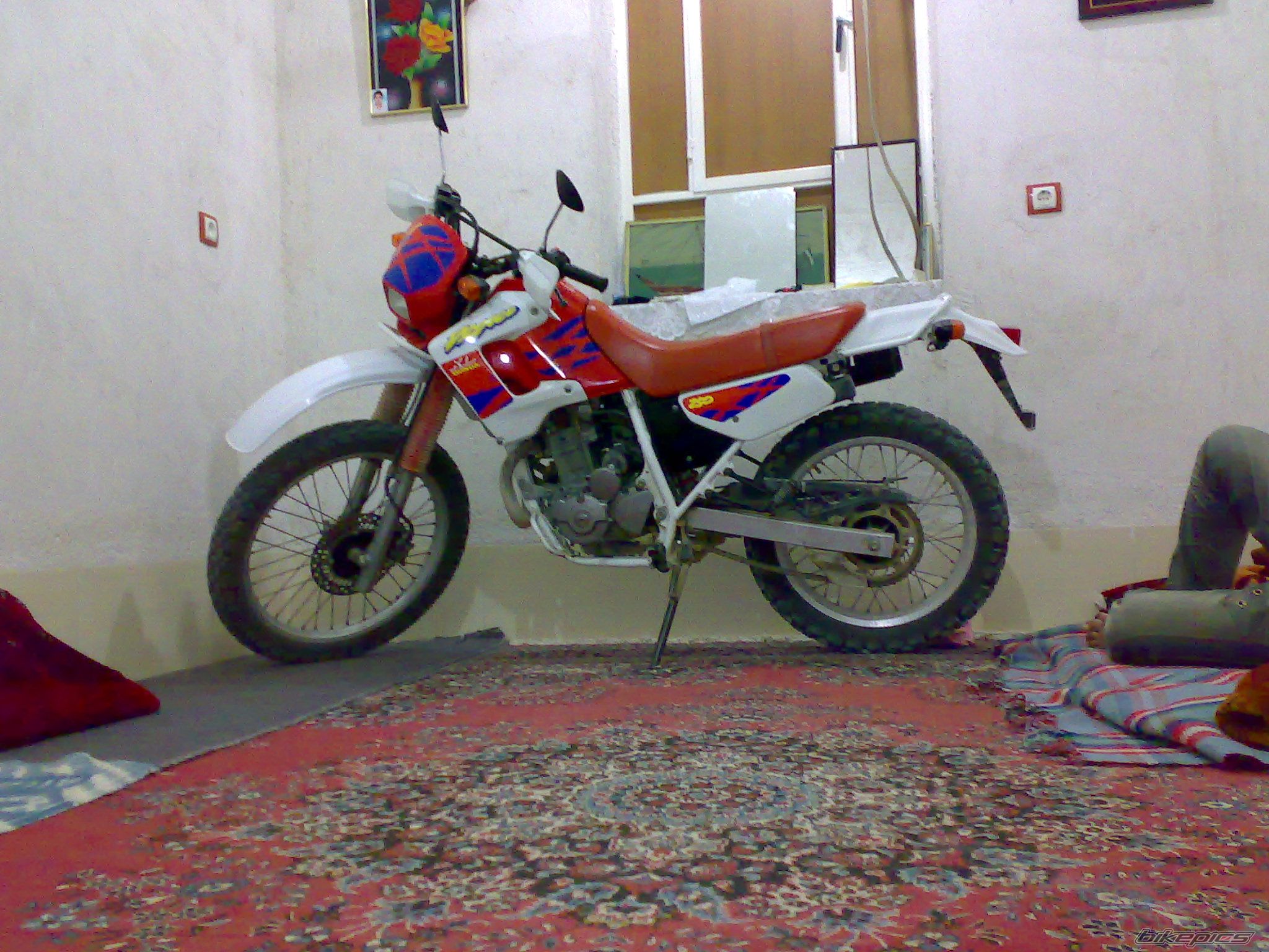 2000 HONDA CB400 SUPERFOUR | Picture 2237490 motorcycle photo