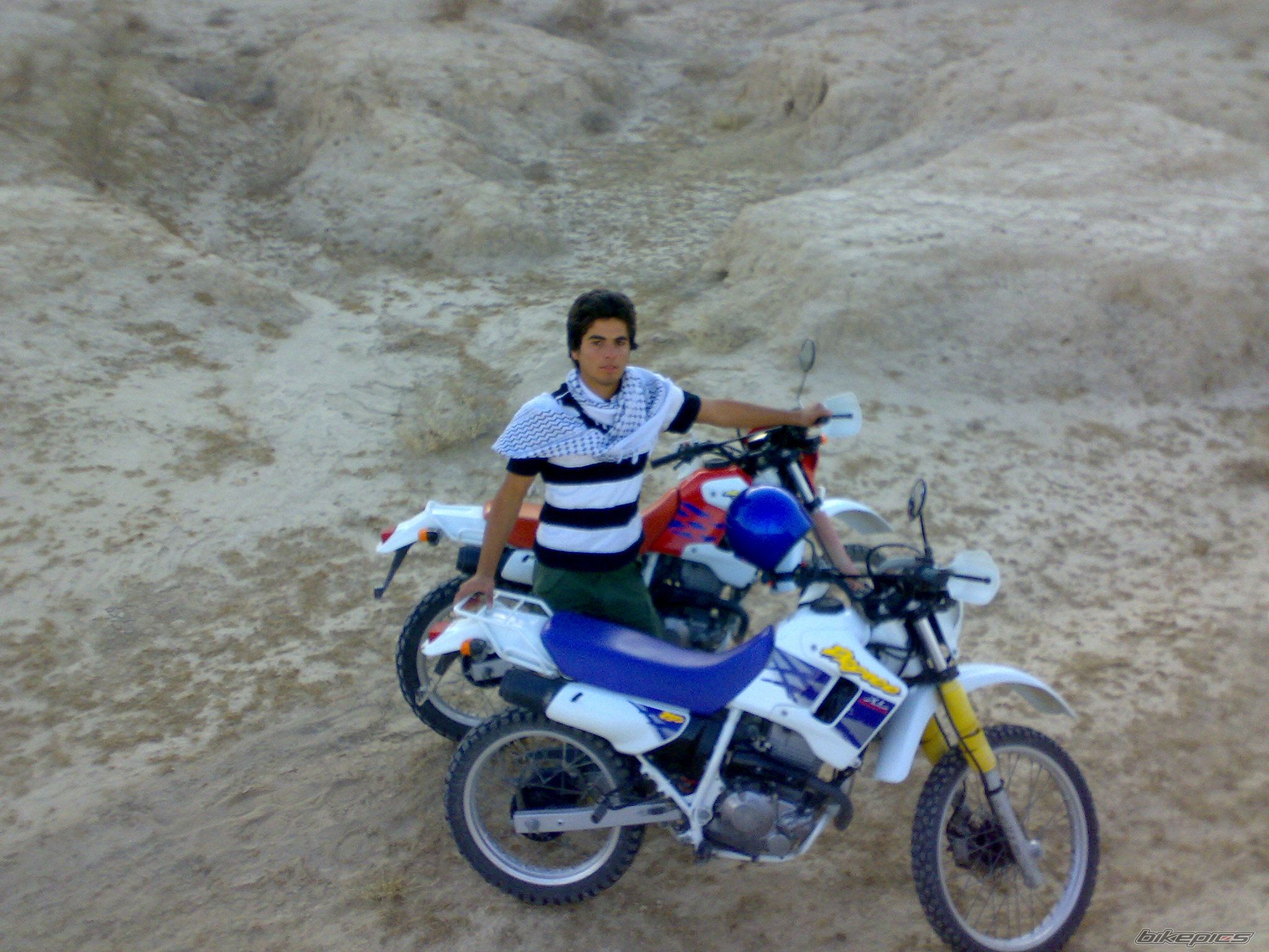 2000 HONDA CB400 SUPERFOUR | Picture 2237492 motorcycle photo