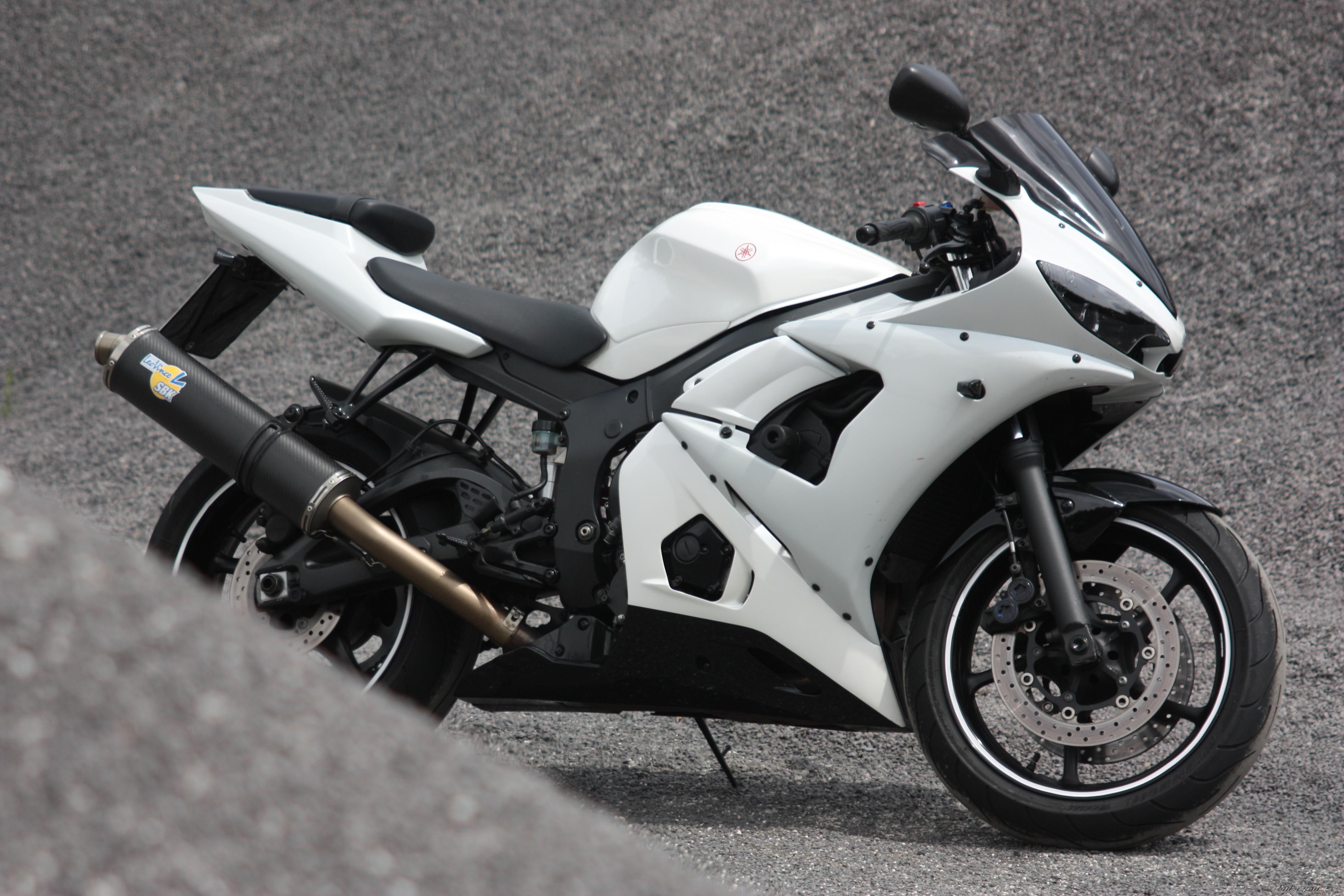 2003 YAMAHA YZF R6 | Picture 2237892 motorcycle photo