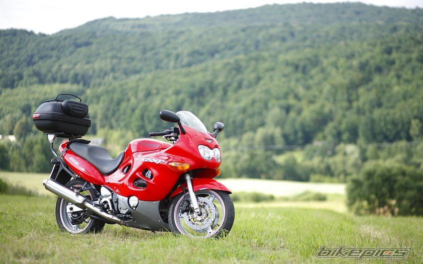 1998 SUZUKI GSX 600 F | Picture 2238138 motorcycle photo