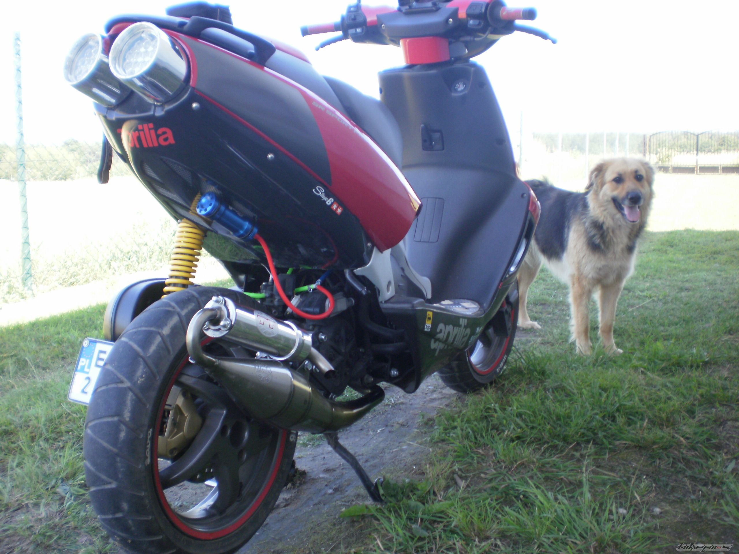 2007 APRILIA SR 50 | Picture 2238143 motorcycle photo