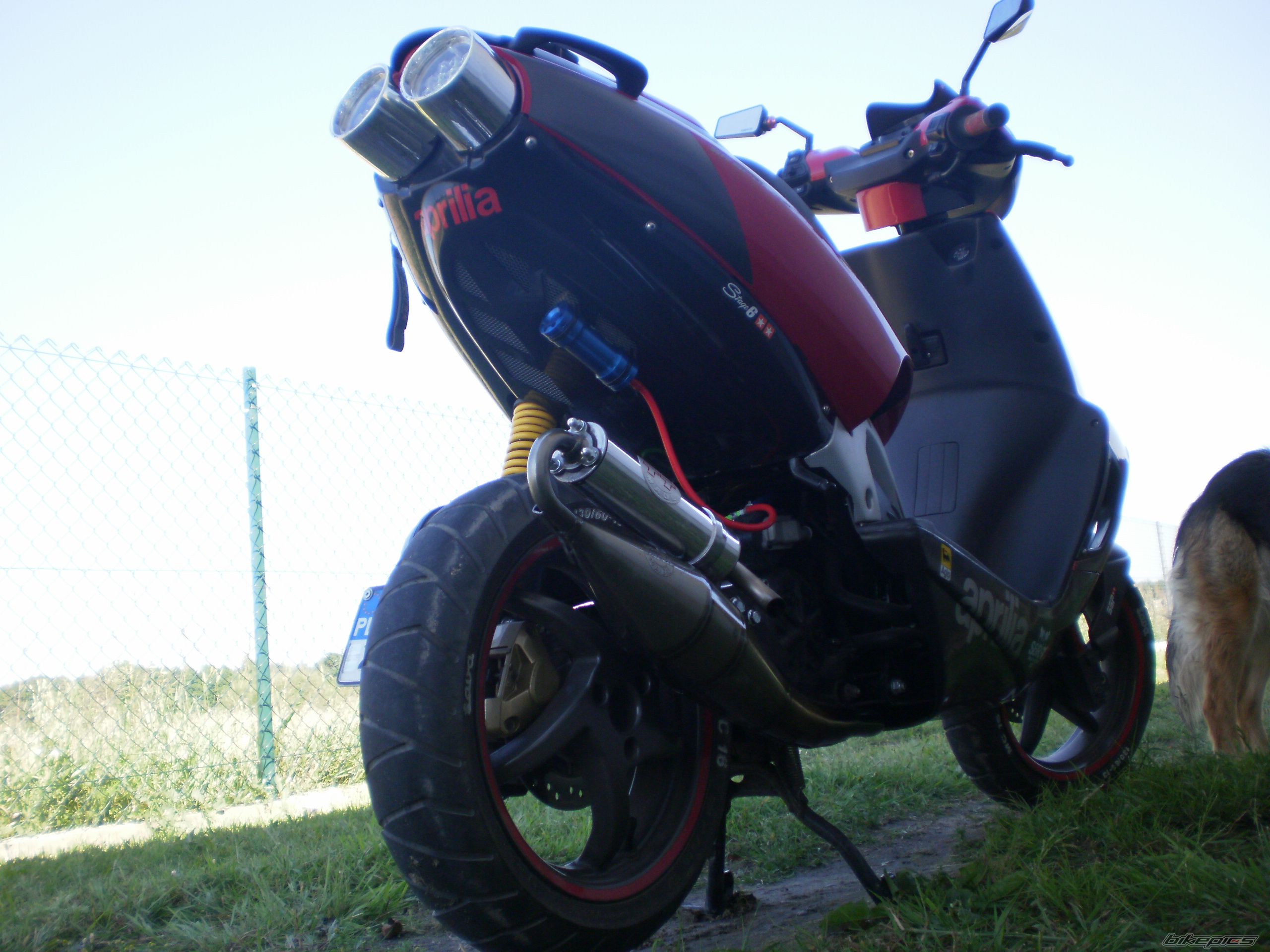 2007 APRILIA SR 50 | Picture 2238144 motorcycle photo
