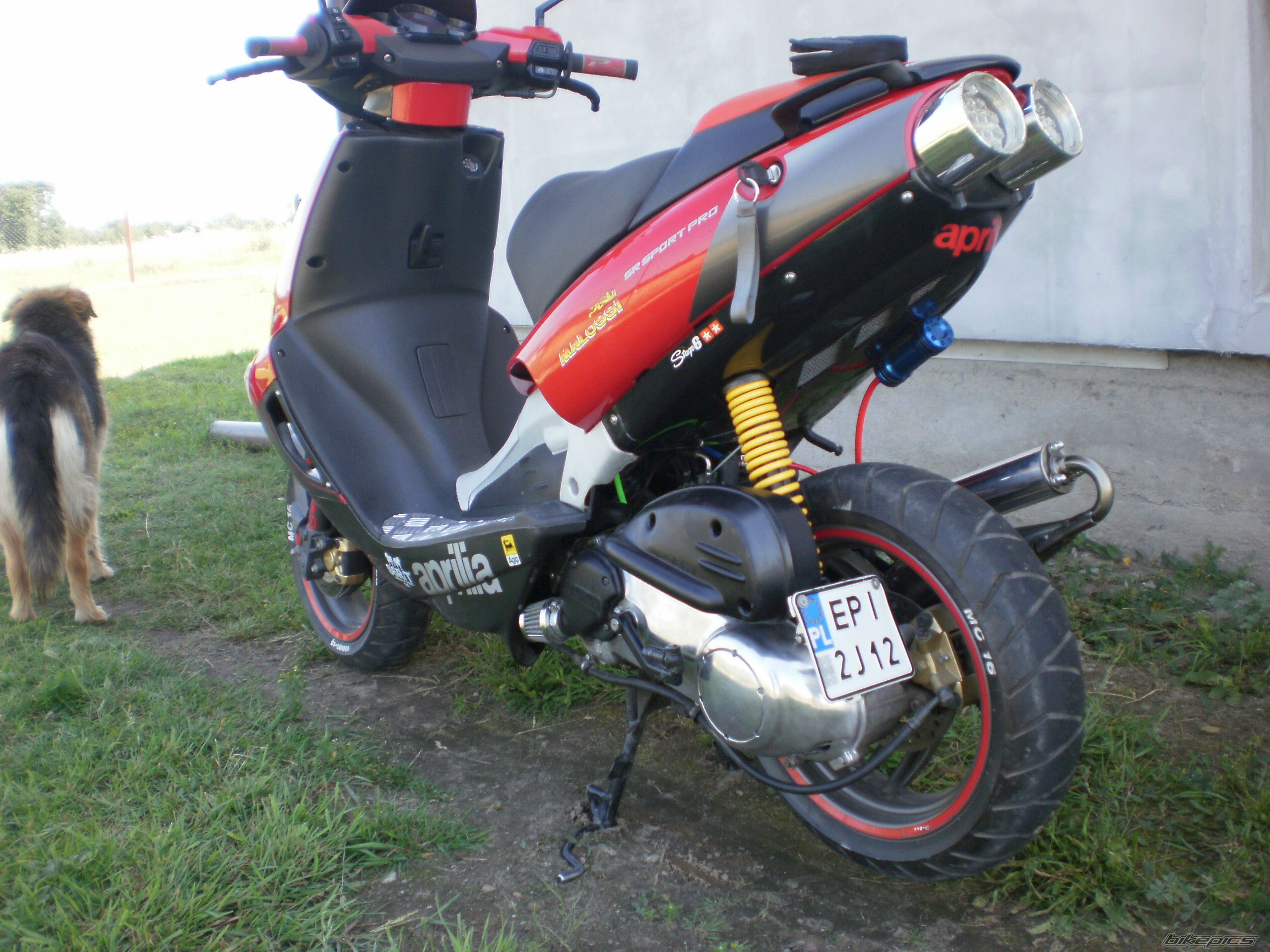 2007 APRILIA SR 50 | Picture 2238145 motorcycle photo