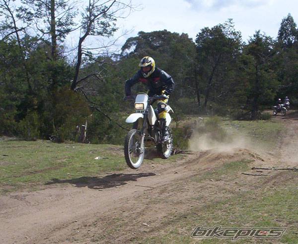 1997 SUZUKI DR 350 | Picture 223845 motorcycle photo