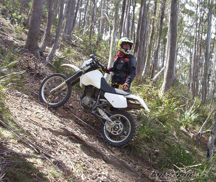 1997 SUZUKI DR 350 | Picture 223848 motorcycle photo