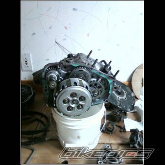 2001 YAMAHA BLASTER | Picture 2238693 motorcycle photo