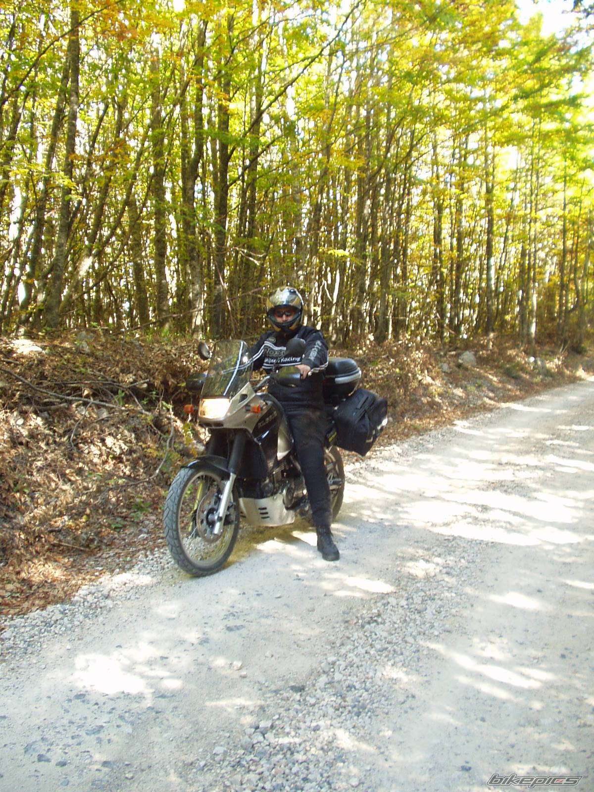 2003 KAWASAKI KLE 500 | Picture 223963 motorcycle photo