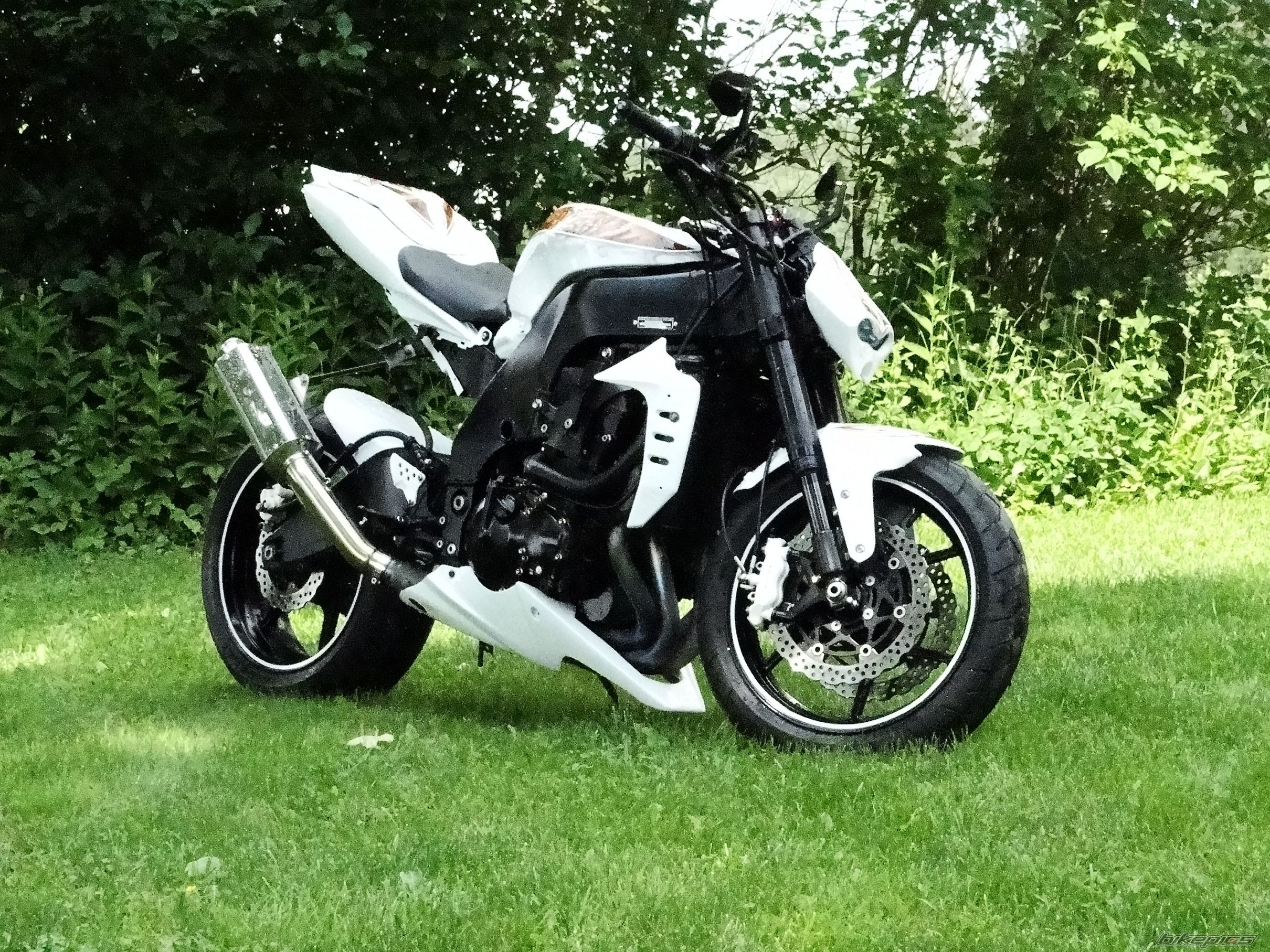 2004 KAWASAKI ZX 10R | Picture 2240168 motorcycle photo