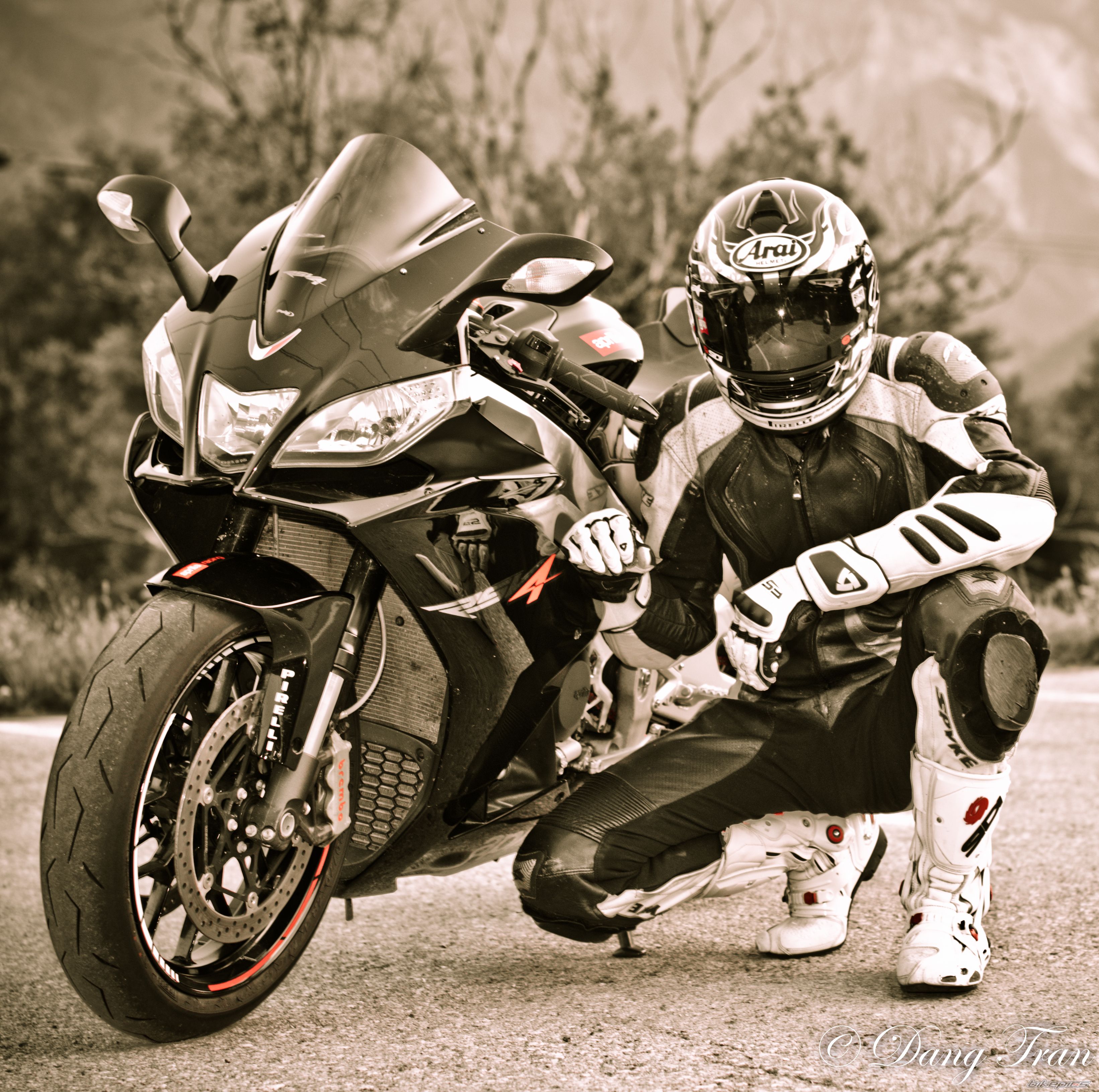 2010 APRILIA RSV4 | Picture 2240464 motorcycle photo