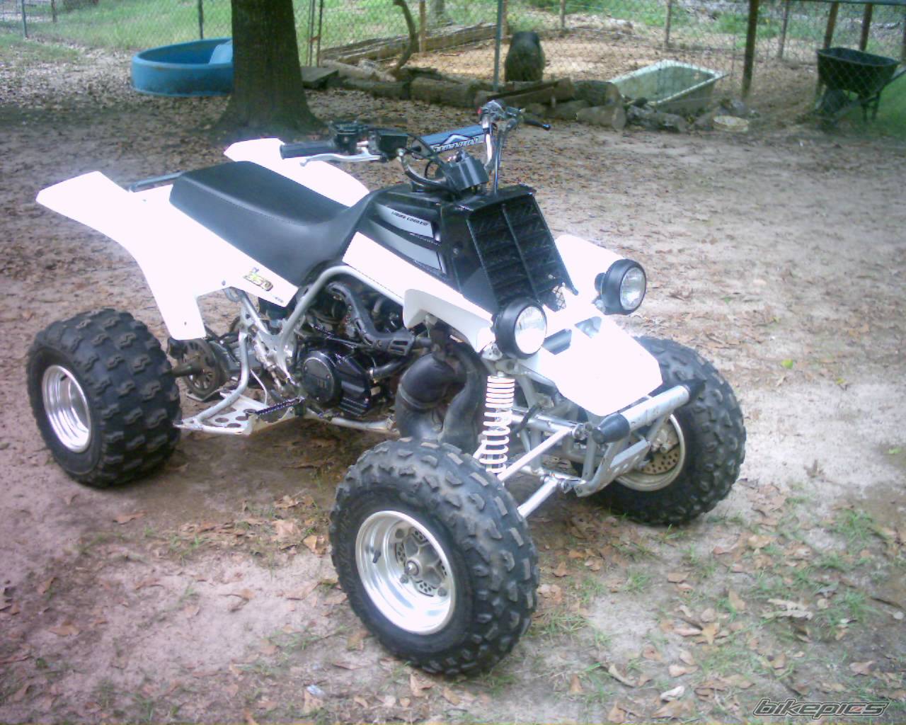 2001 YAMAHA BANSHEE | Picture 224091 motorcycle photo