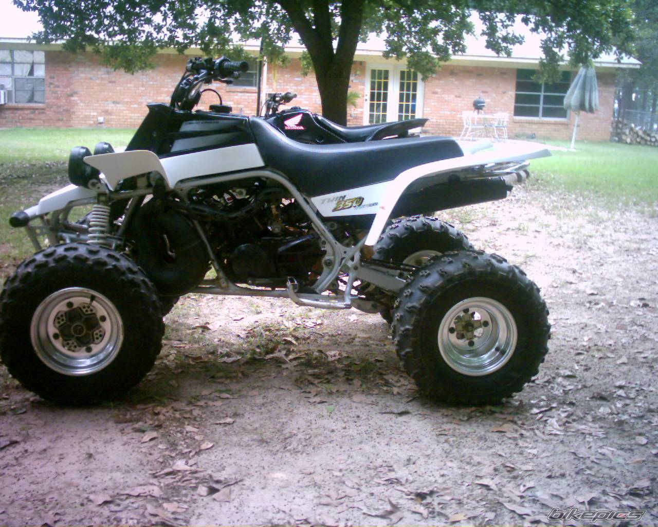 2001 YAMAHA BANSHEE | Picture 224107 motorcycle photo