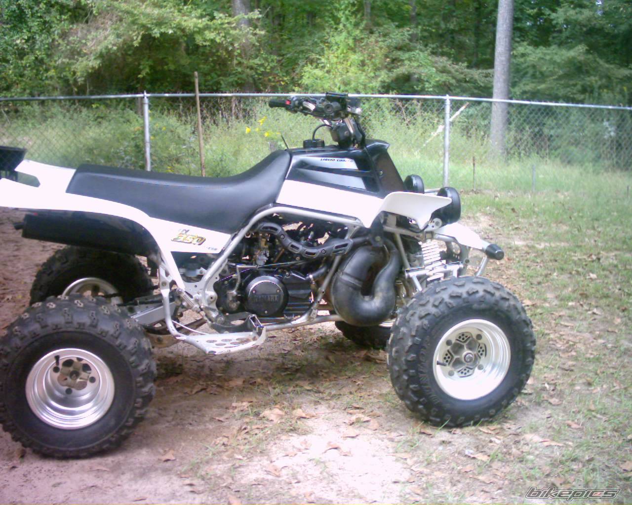 2001 YAMAHA BANSHEE | Picture 224114 motorcycle photo