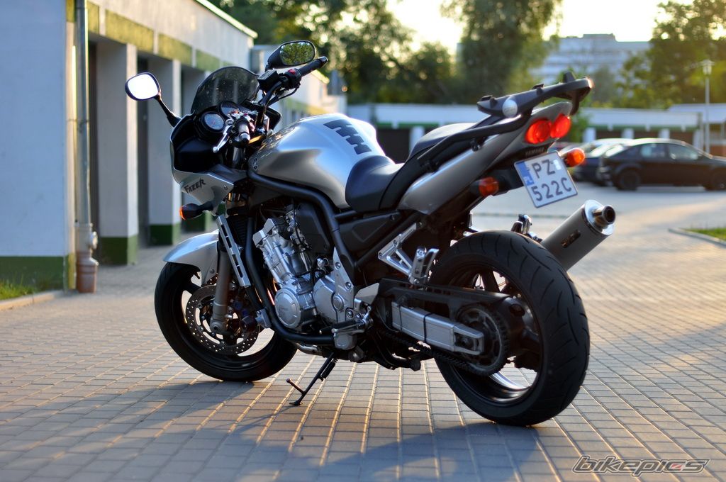 2004 YAMAHA FZS 1000 FAZER | Picture 2242084 motorcycle photo