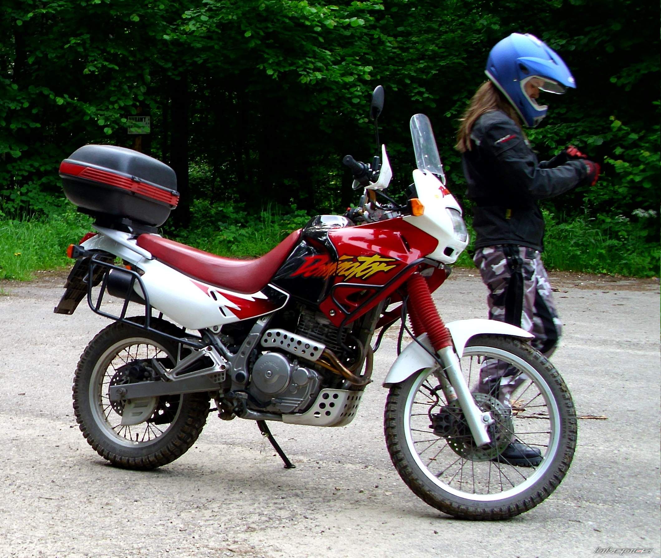 1996 HONDA NX 650 DOMINATOR | Picture 2243101 motorcycle photo