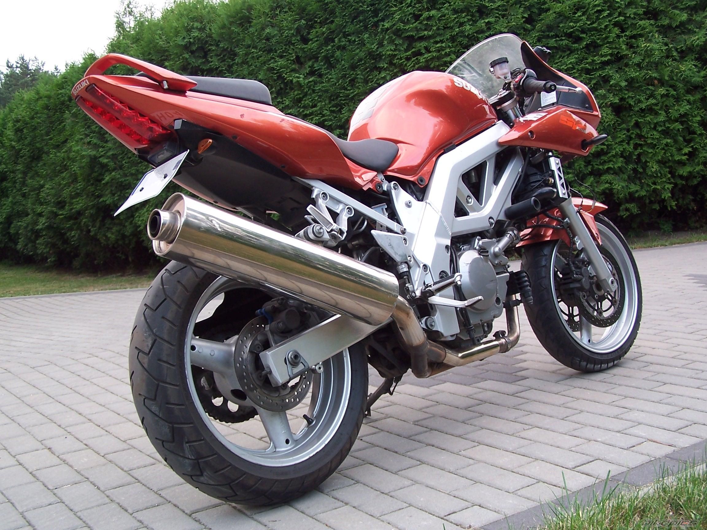 2005 SUZUKI SV 650 | Picture 2243423 motorcycle photo