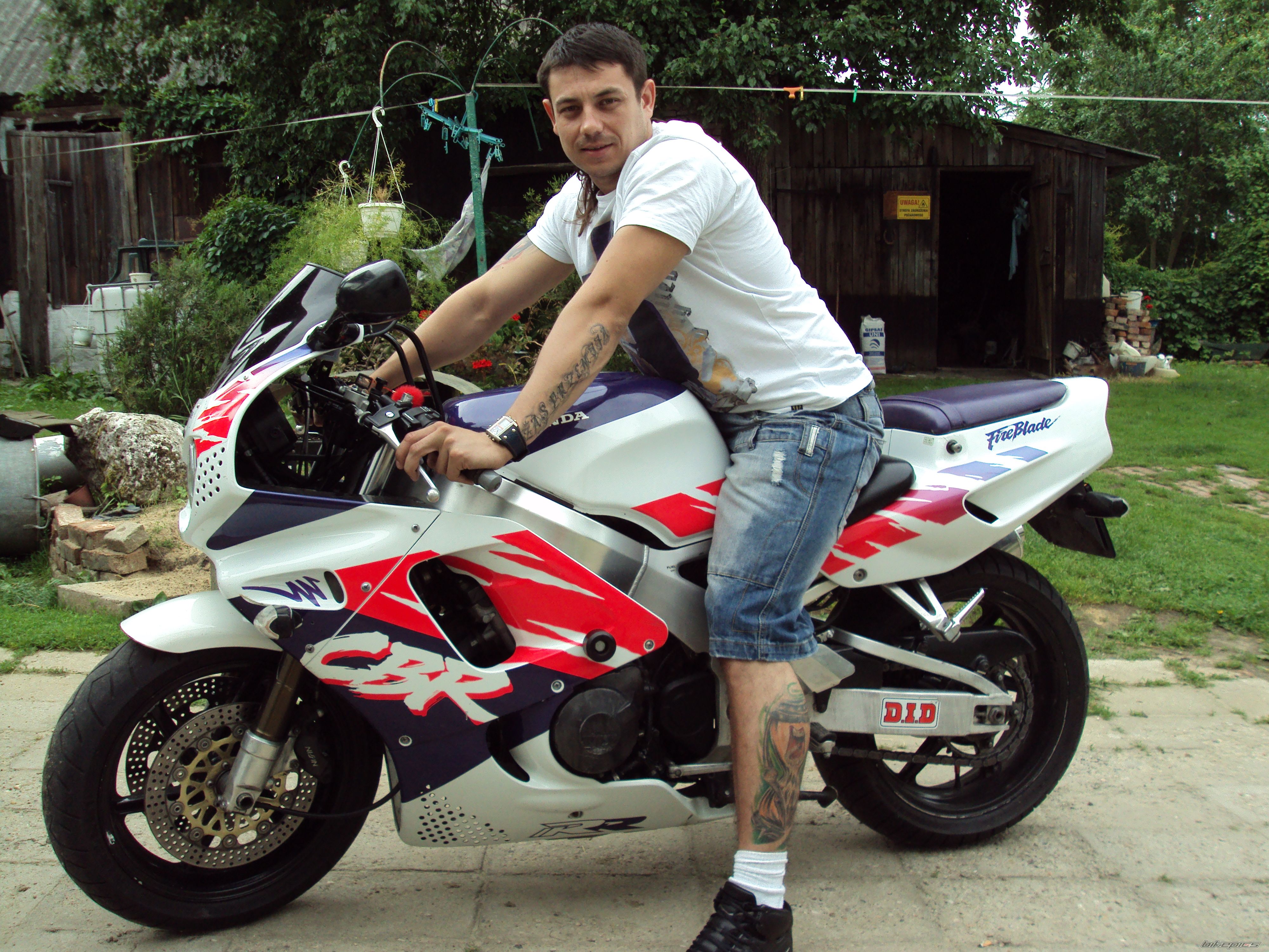 1993 HONDA CBR 900RR FIREBLADE | Picture 2244305 motorcycle photo