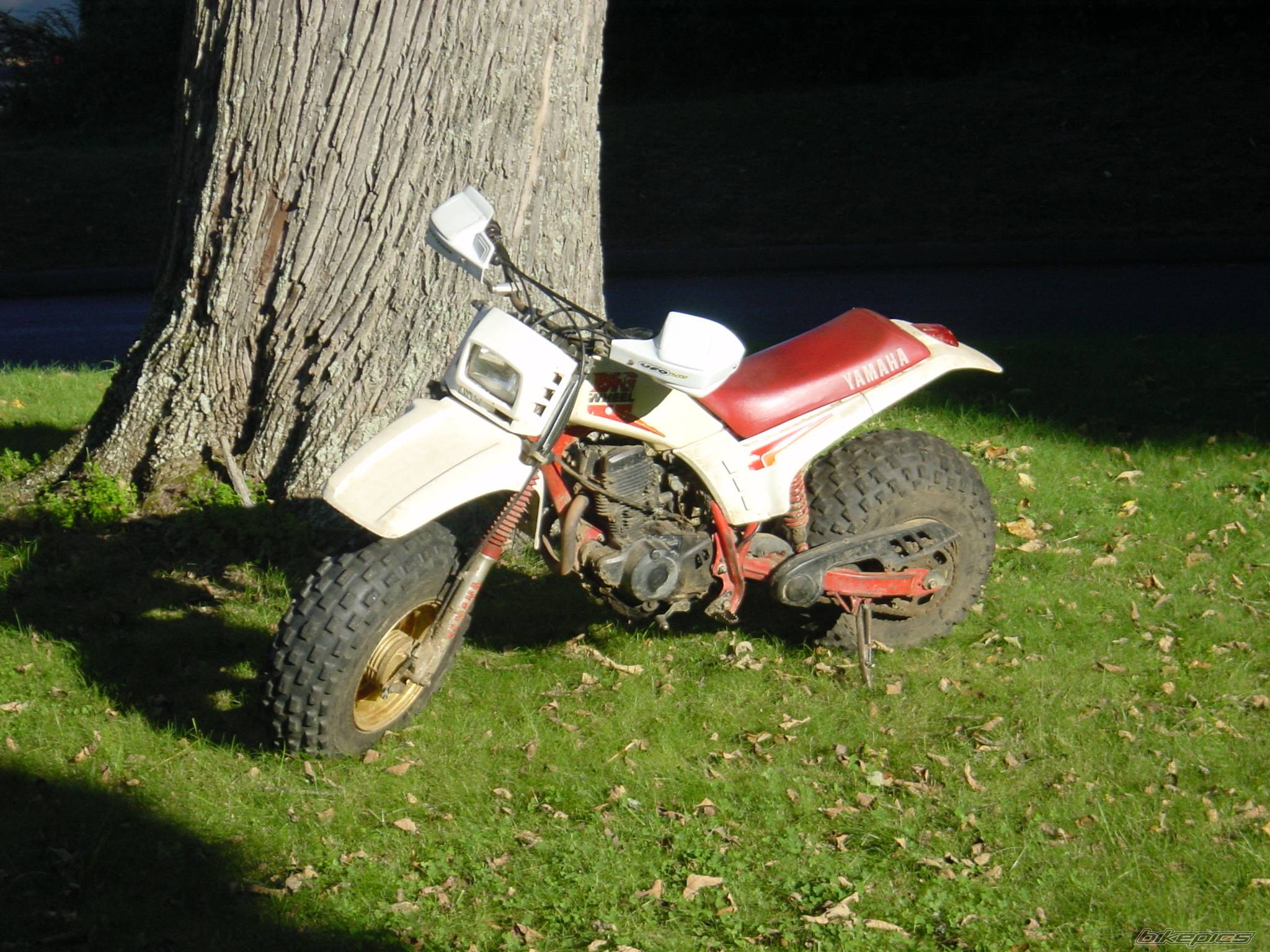 1986 YAMAHA BW 200 | Picture 224490 motorcycle photo