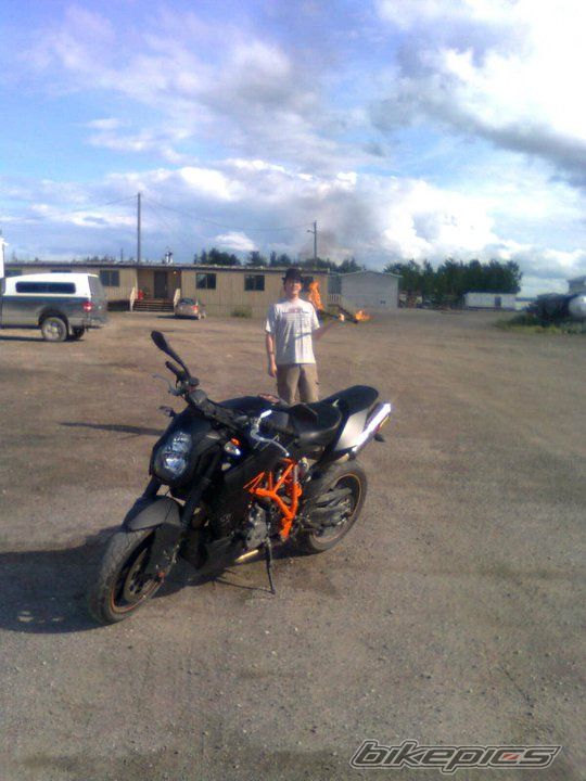 2008 KTM SUPER DUKE R | Picture 2245544 motorcycle photo