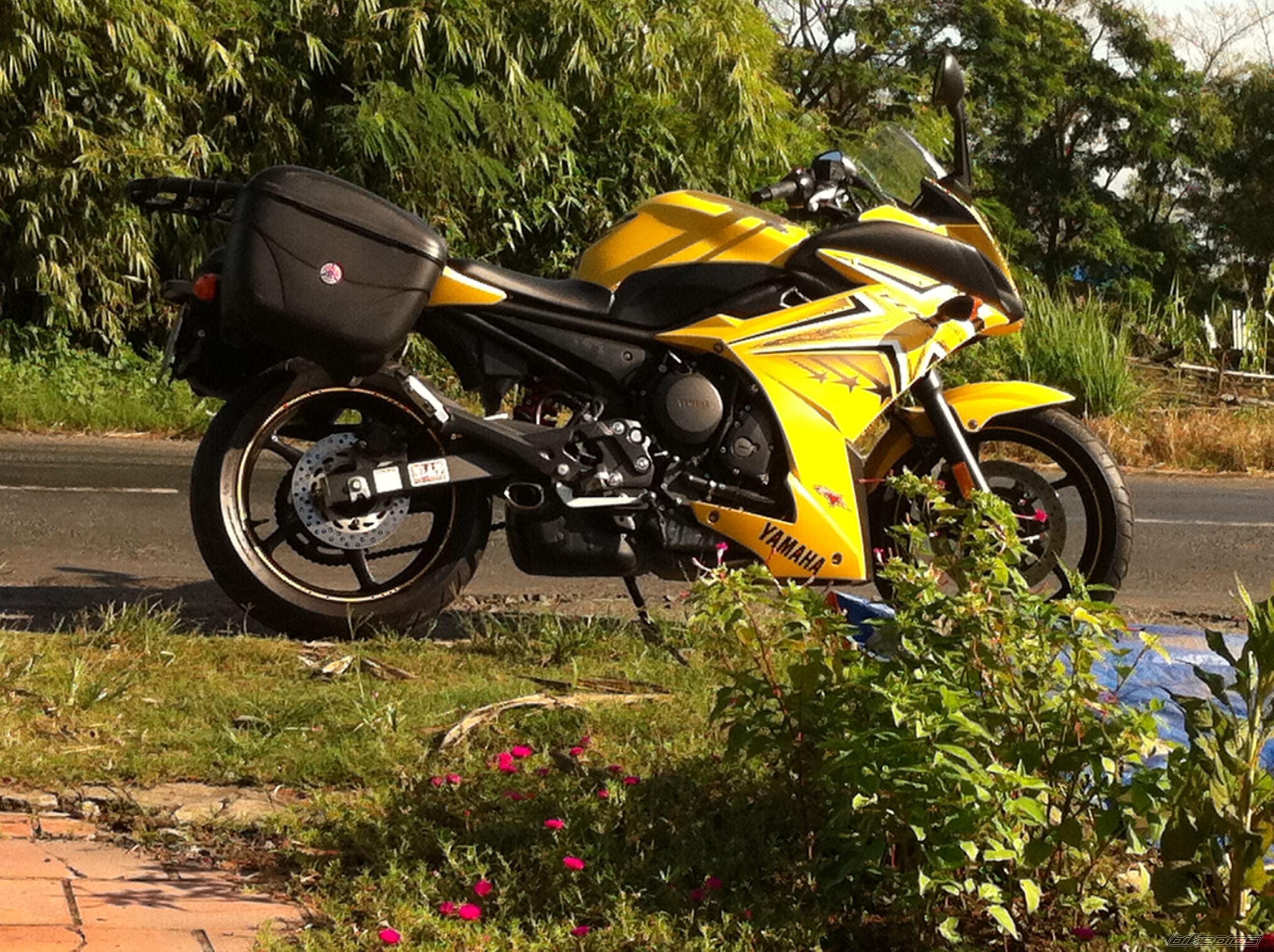 2009 YAMAHA FZ6R | Picture 2245726 motorcycle photo