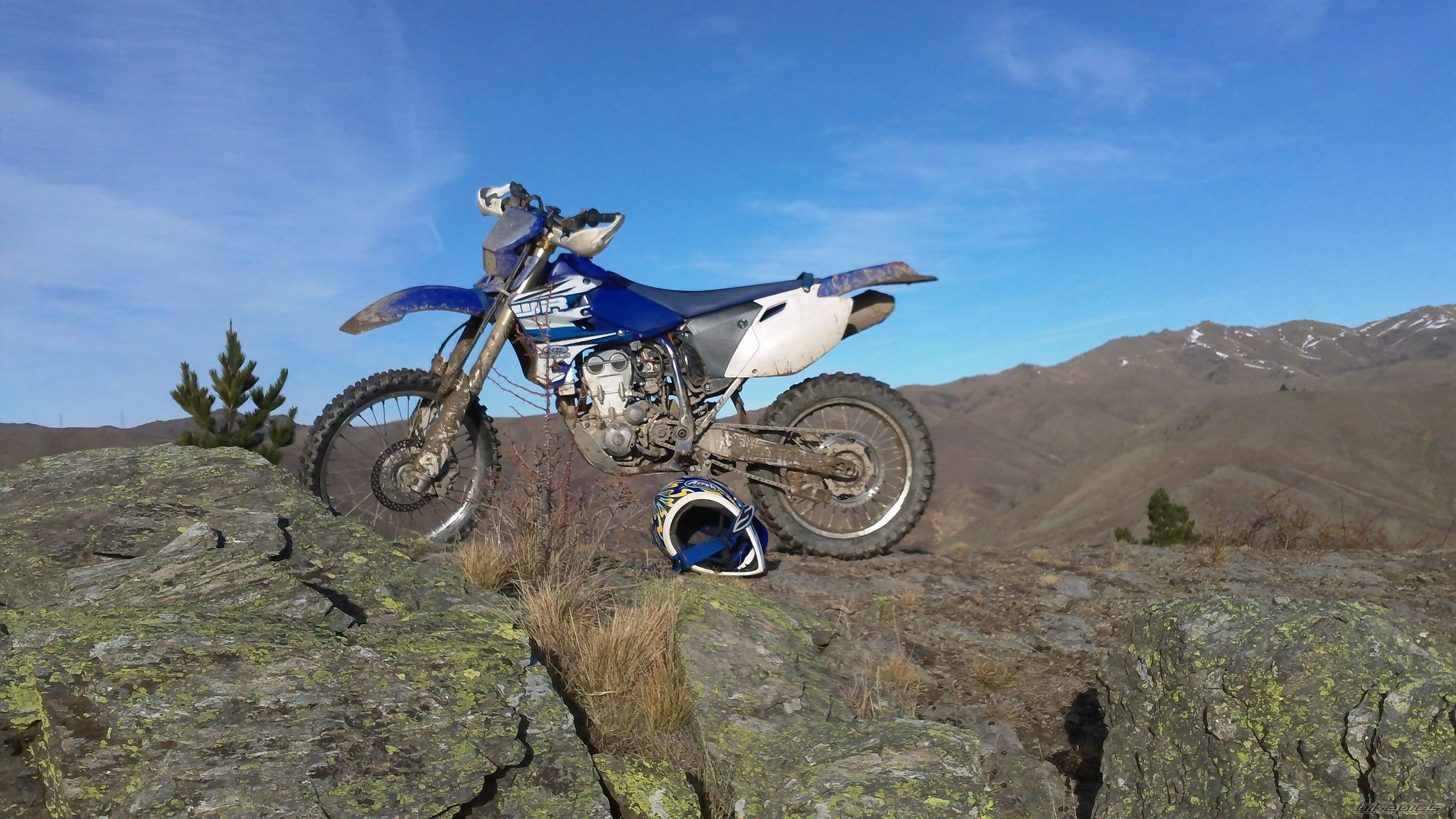2006 YAMAHA WR 450F | Picture 2246088 motorcycle photo