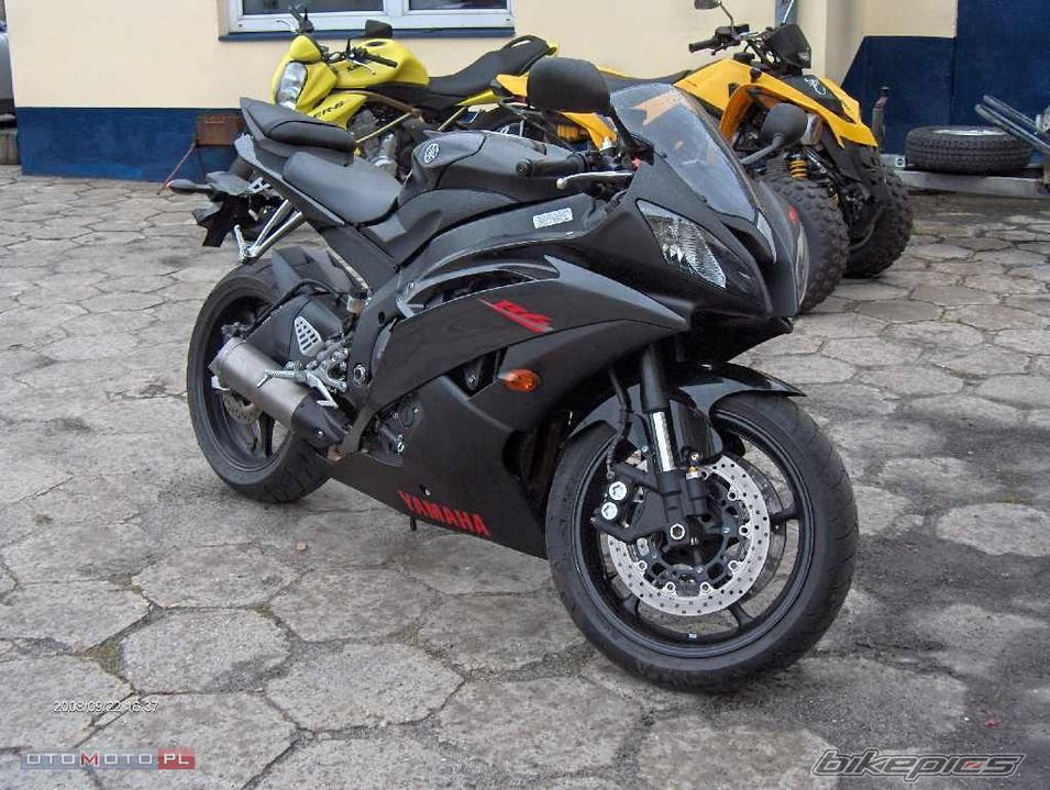 2008 YAMAHA YZF R6 | Picture 2246833 motorcycle photo