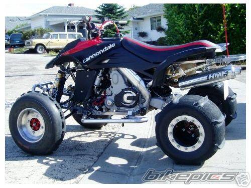 1993 HONDA 300EX | Picture 224691 motorcycle photo