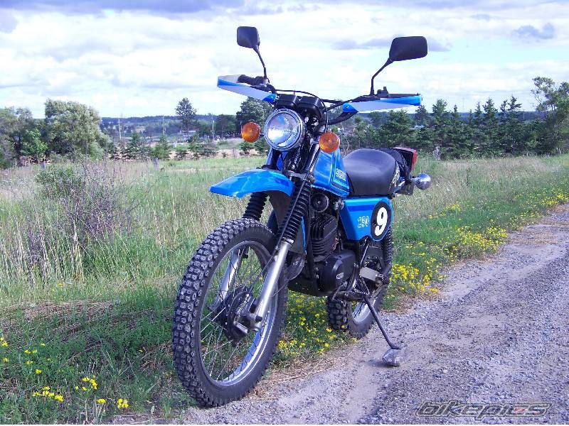 1980 SUZUKI TS 250 | Picture 2247224 motorcycle photo