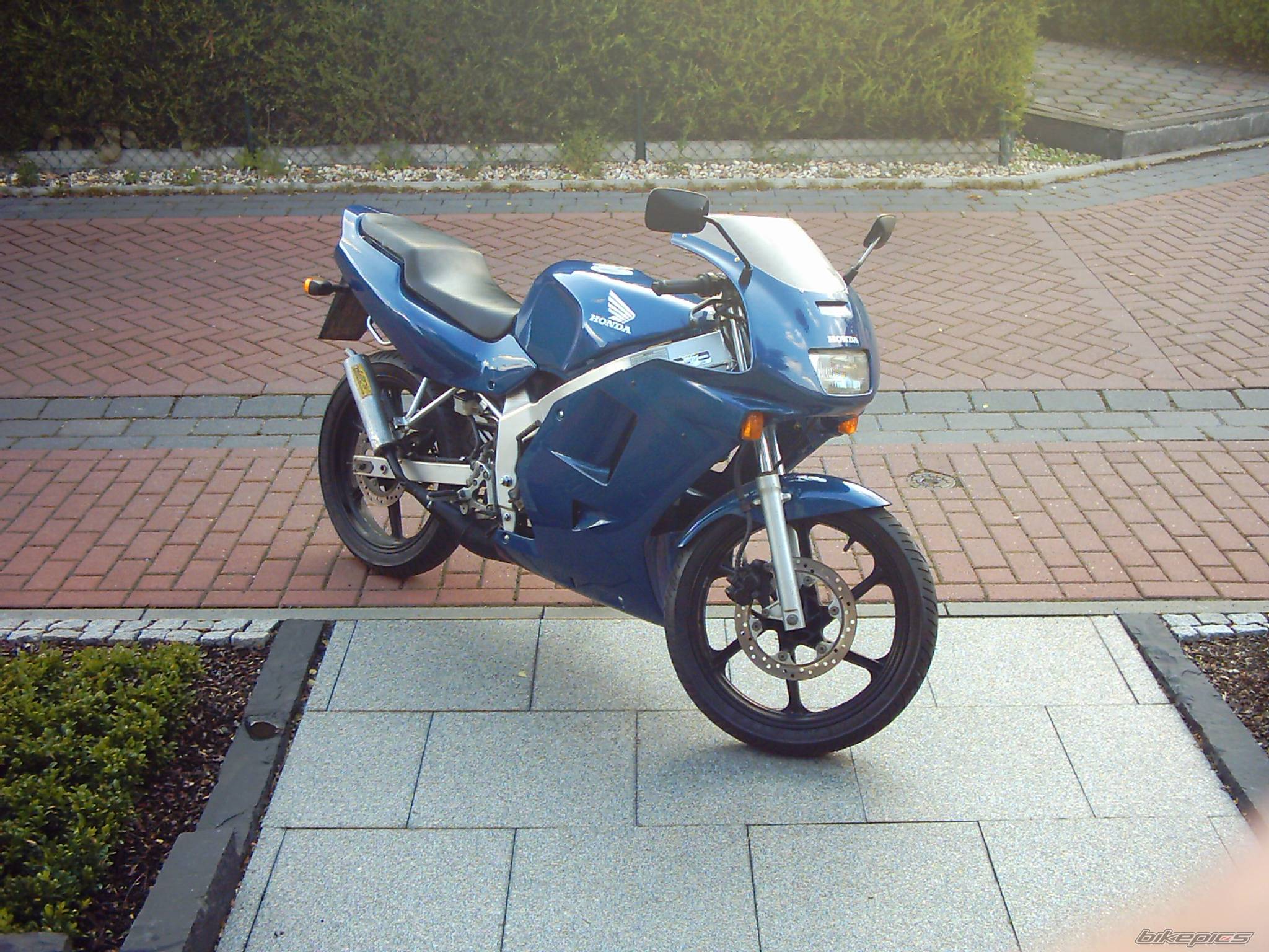 1996 HONDA NS1 80 | Picture 224729 motorcycle photo