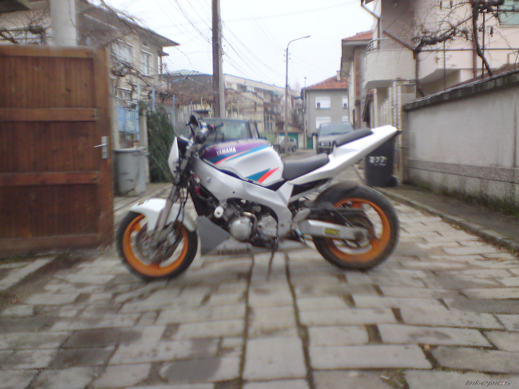 1995 YAMAHA FZR 600 | Picture 2248028 motorcycle photo