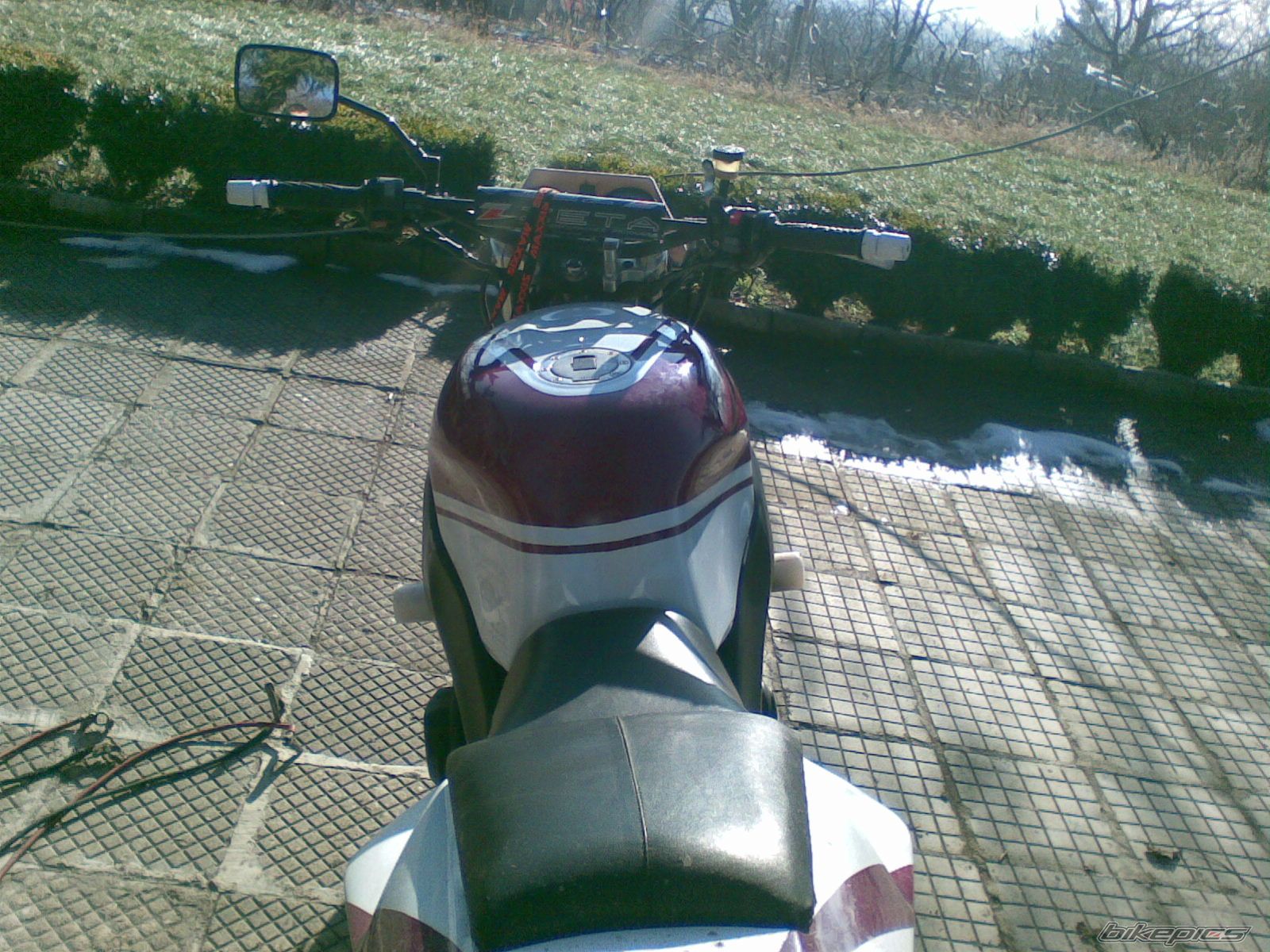 1995 YAMAHA FZR 600 | Picture 2248034 motorcycle photo
