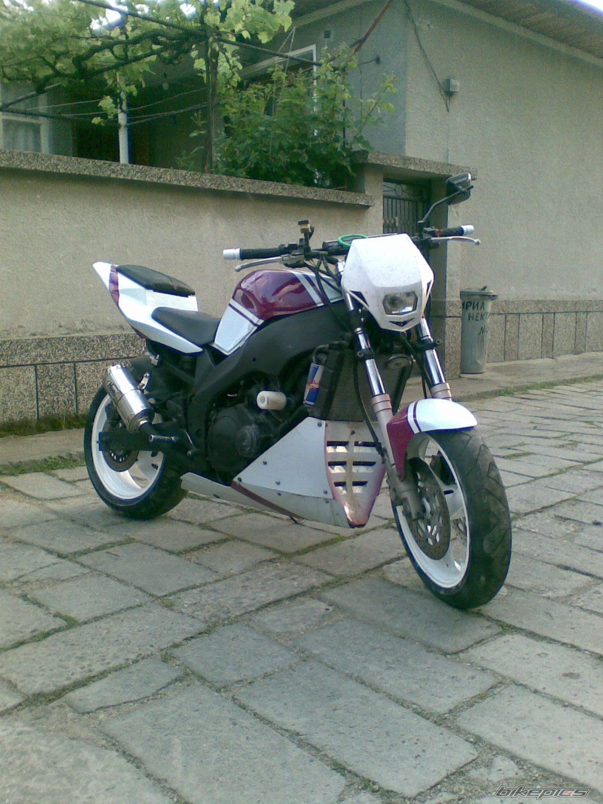 1995 YAMAHA FZR 600 | Picture 2248038 motorcycle photo