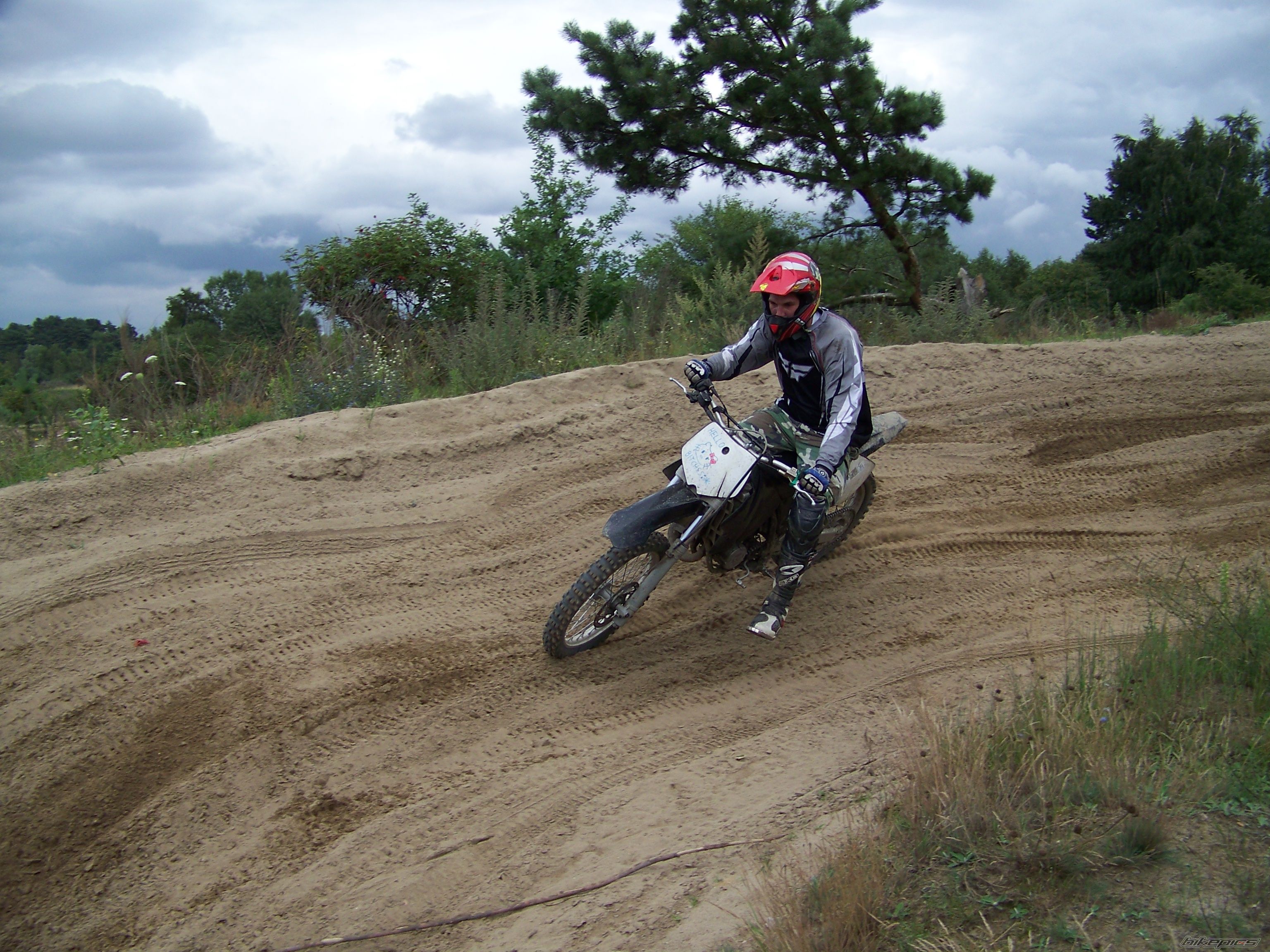 2001 KTM 85 SX | Picture 2248751 motorcycle photo