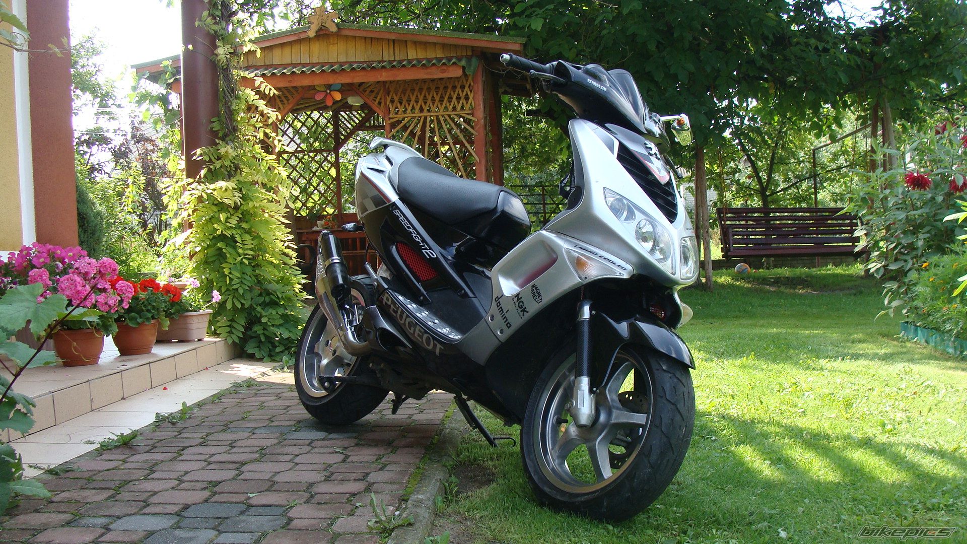 2003 PEUGEOT SPEEDFIGHT2 50 | Picture 2248891 motorcycle photo