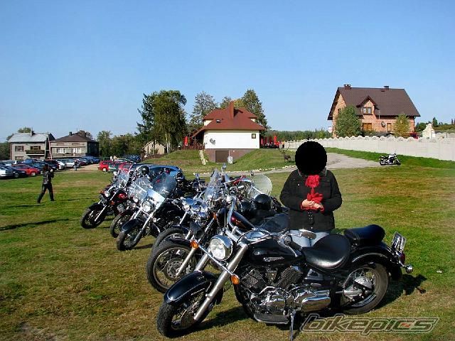 2004 YAMAHA XVS1100A DRAGSTAR CLASSIC | Picture 2248901 motorcycle photo