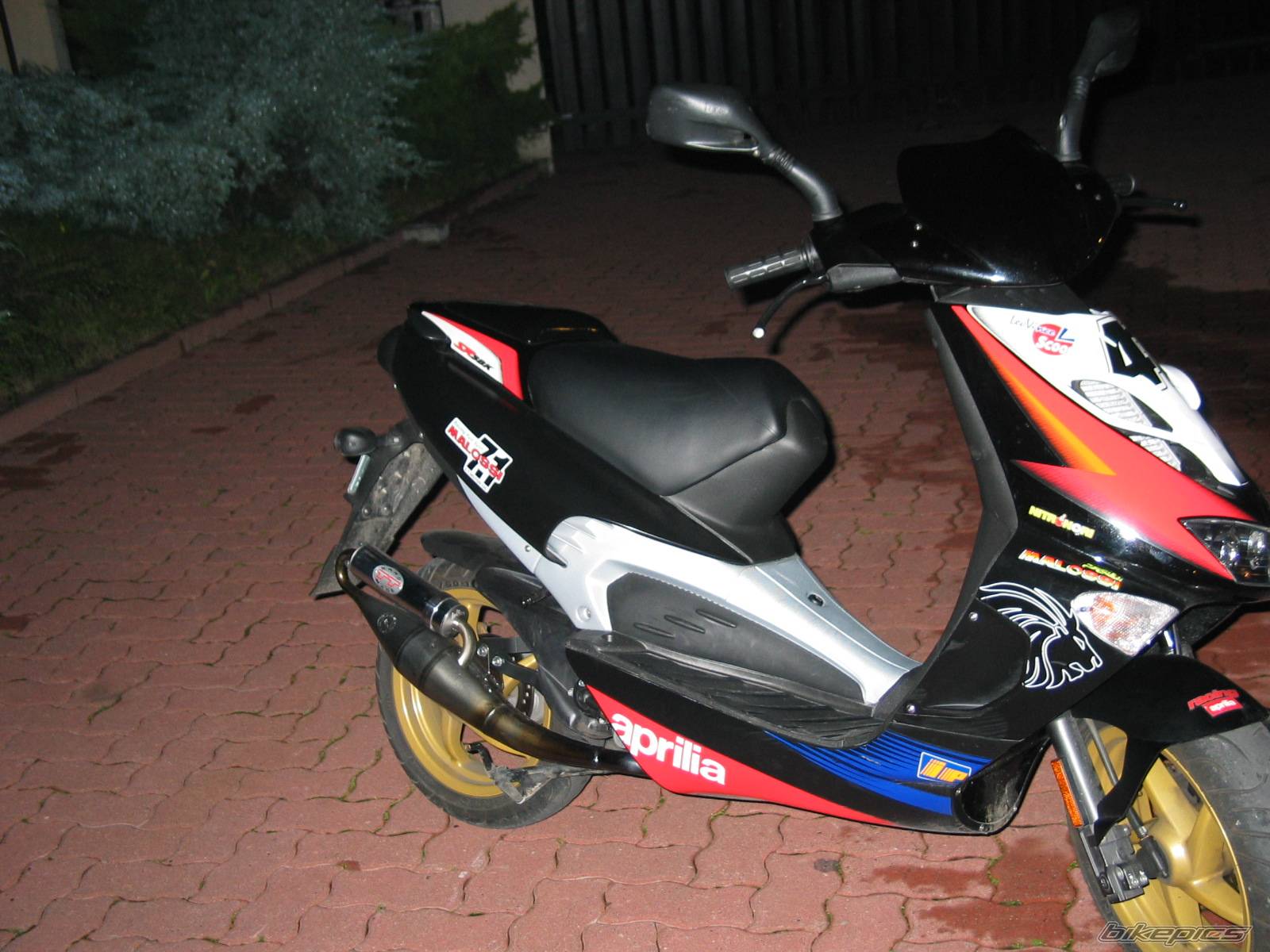 2004 APRILIA SR 50 | Picture 224910 motorcycle photo
