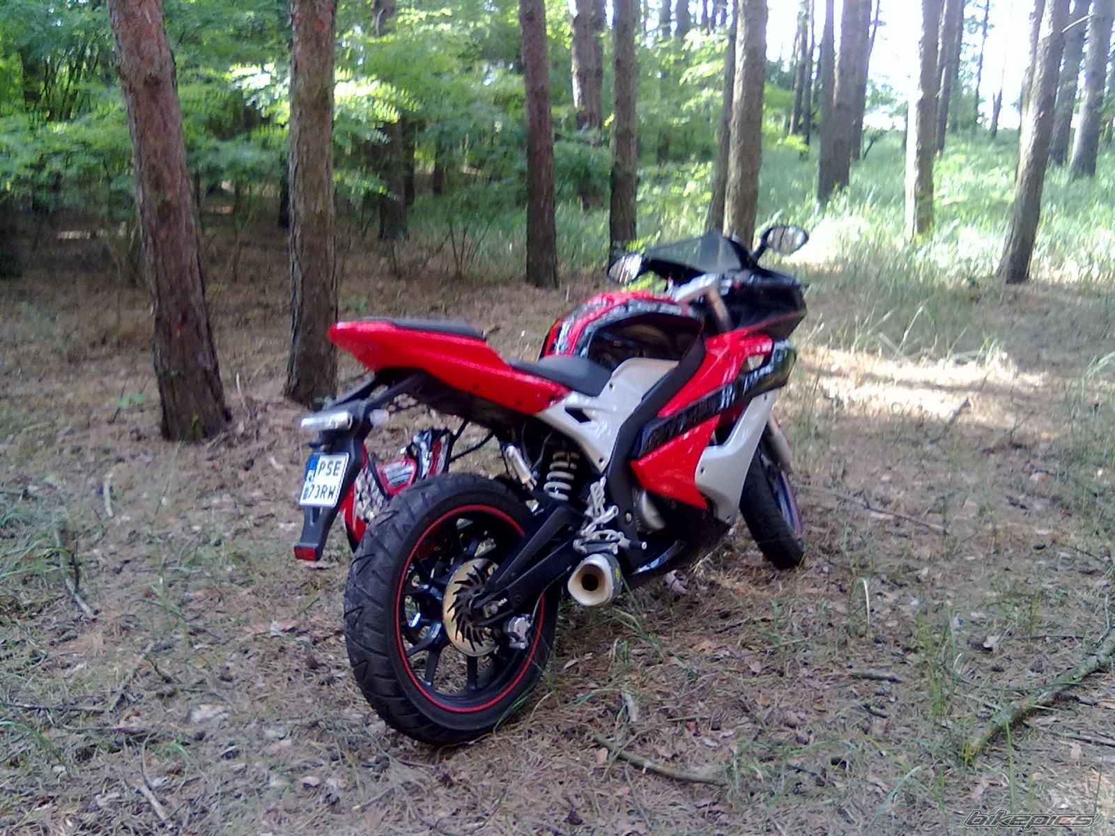    | Picture 2249422 motorcycle photo
