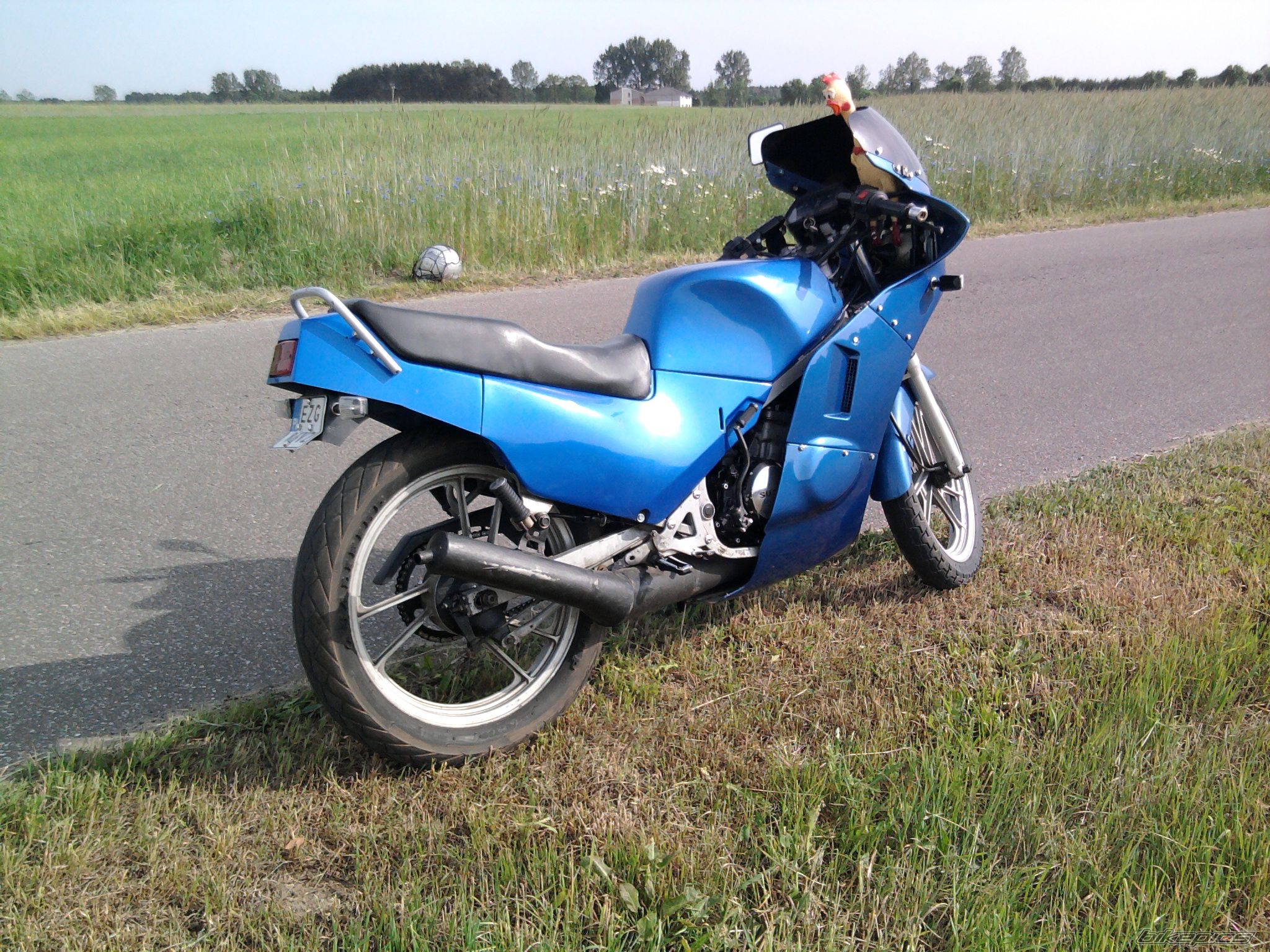 1990 SUZUKI RG 80 | Picture 2249431 motorcycle photo