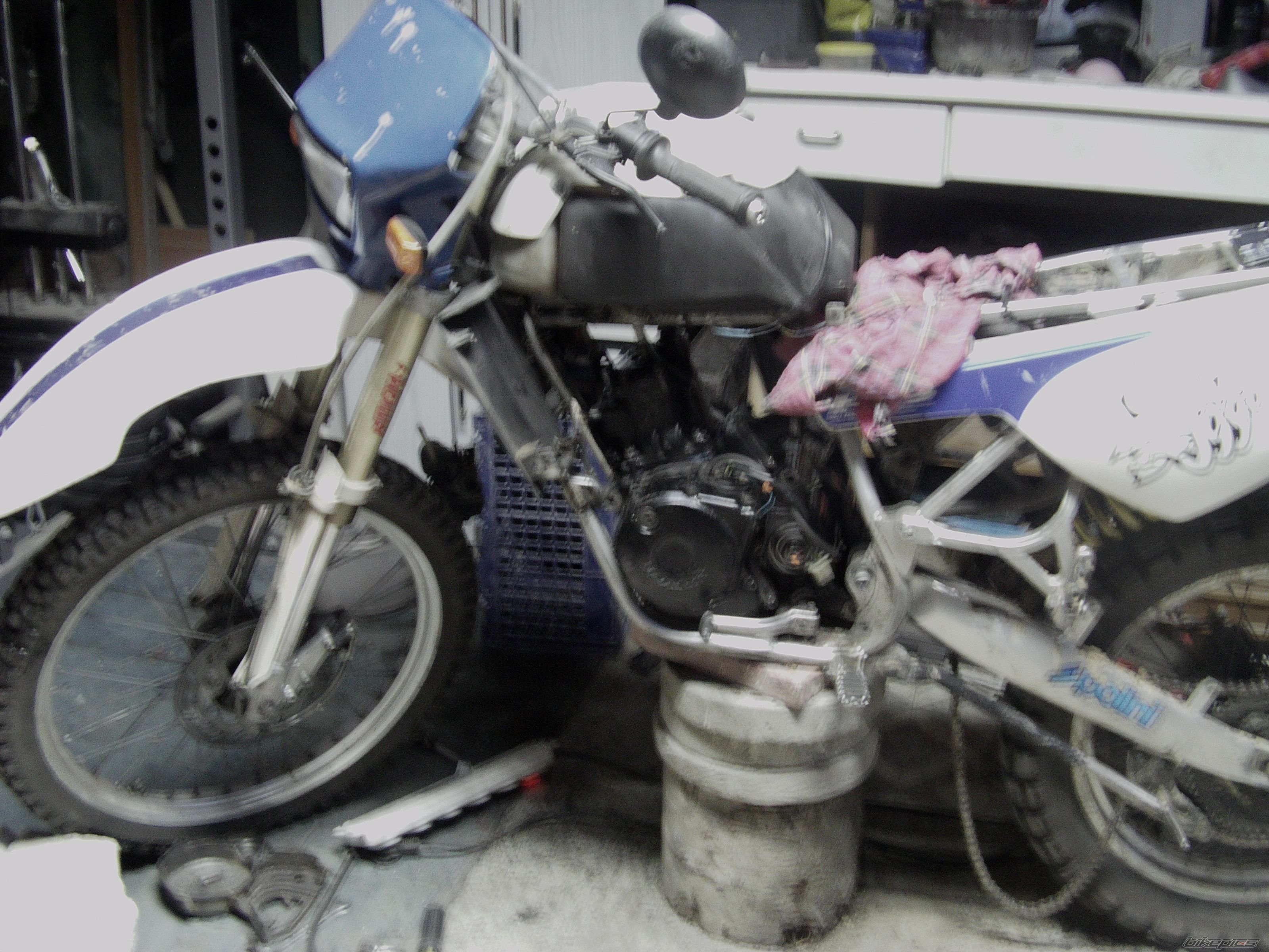 1999 DERBI SENDA R 50 | Picture 2249707 motorcycle photo
