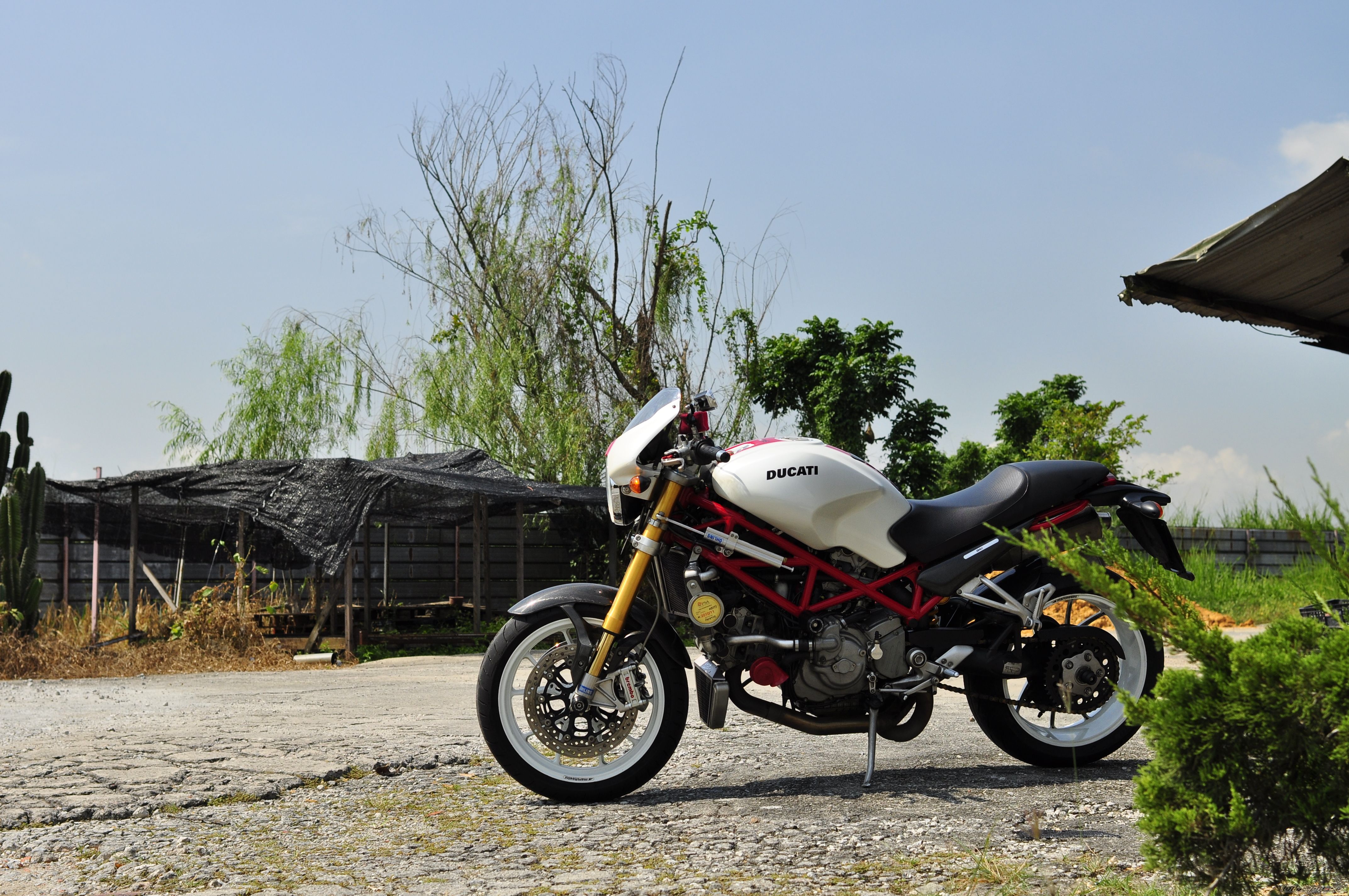 2006 DUCATI MONSTER S4RS TESTASTRETTA | Picture 2249958 motorcycle photo