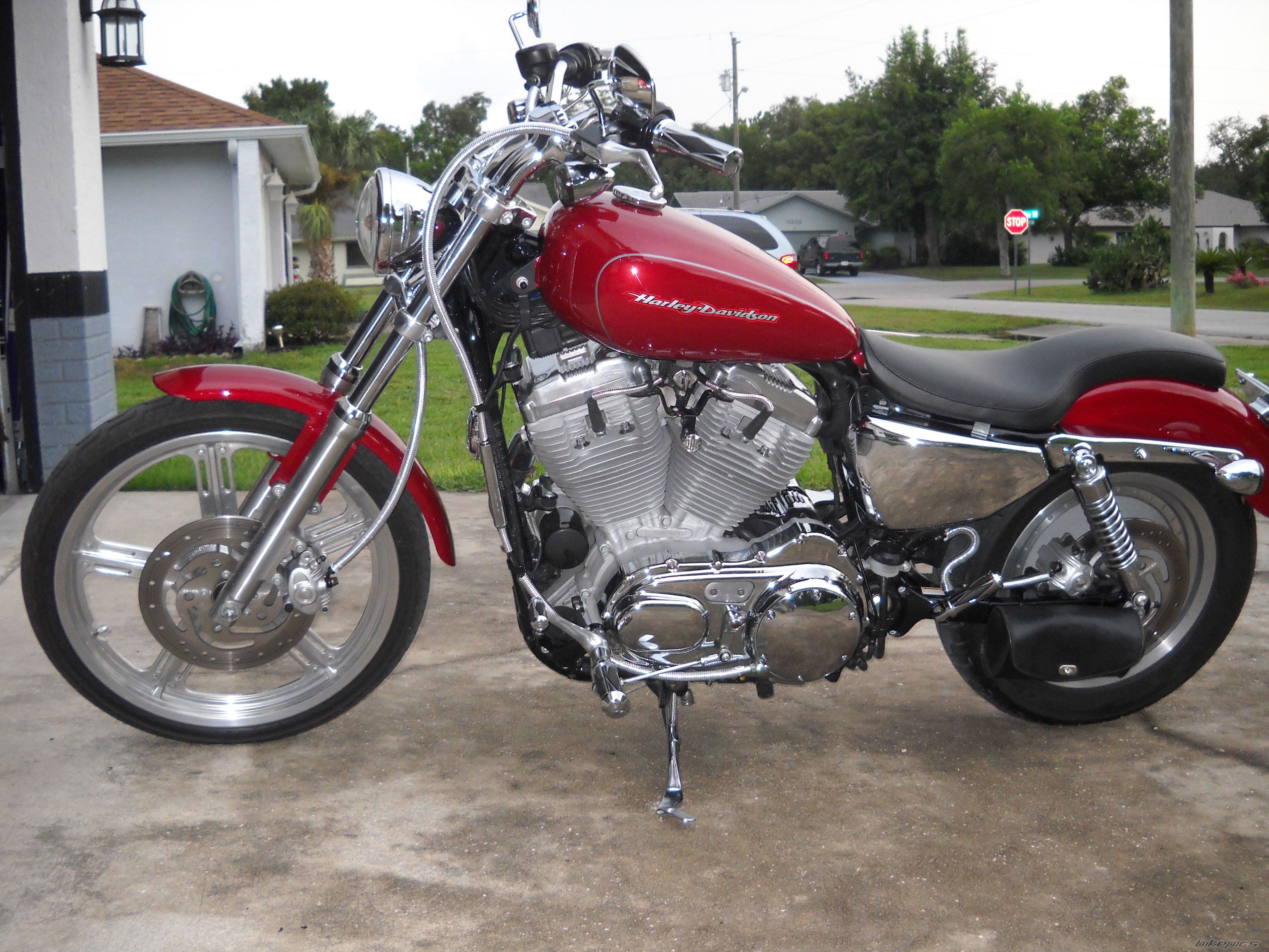 2006 HARLEY DAVIDSON XL 883 CUSTOM | Picture 2251004 motorcycle photo