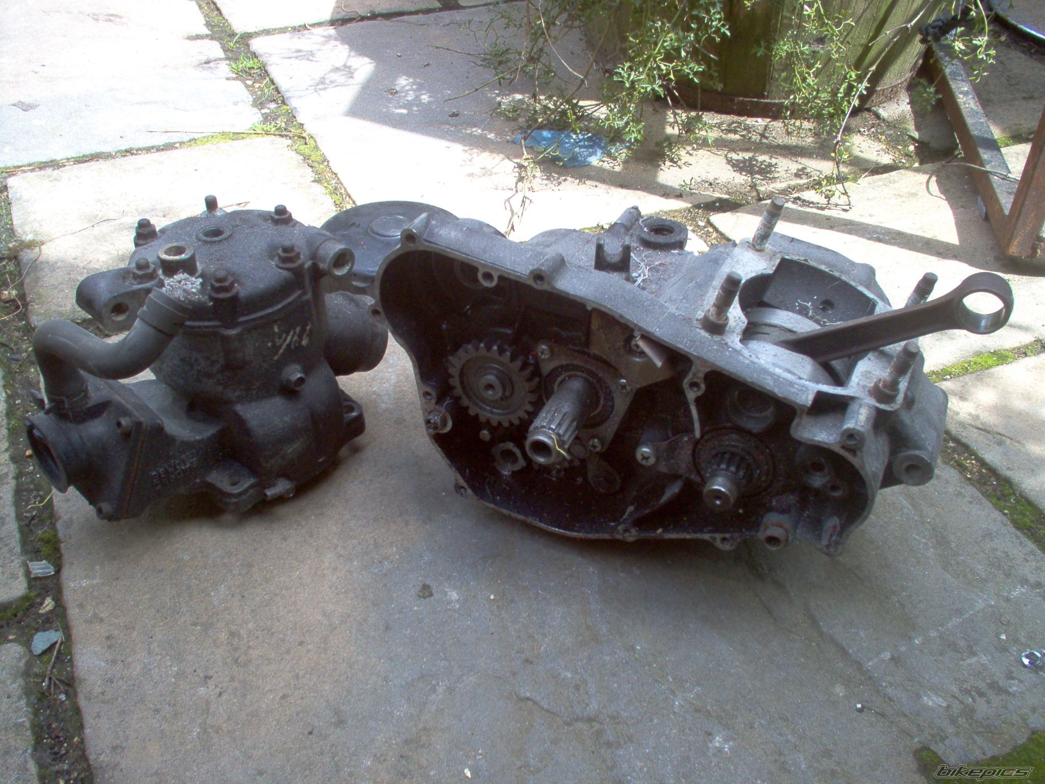 1987 YAMAHA YTZ 250 | Picture 2251517 motorcycle photo