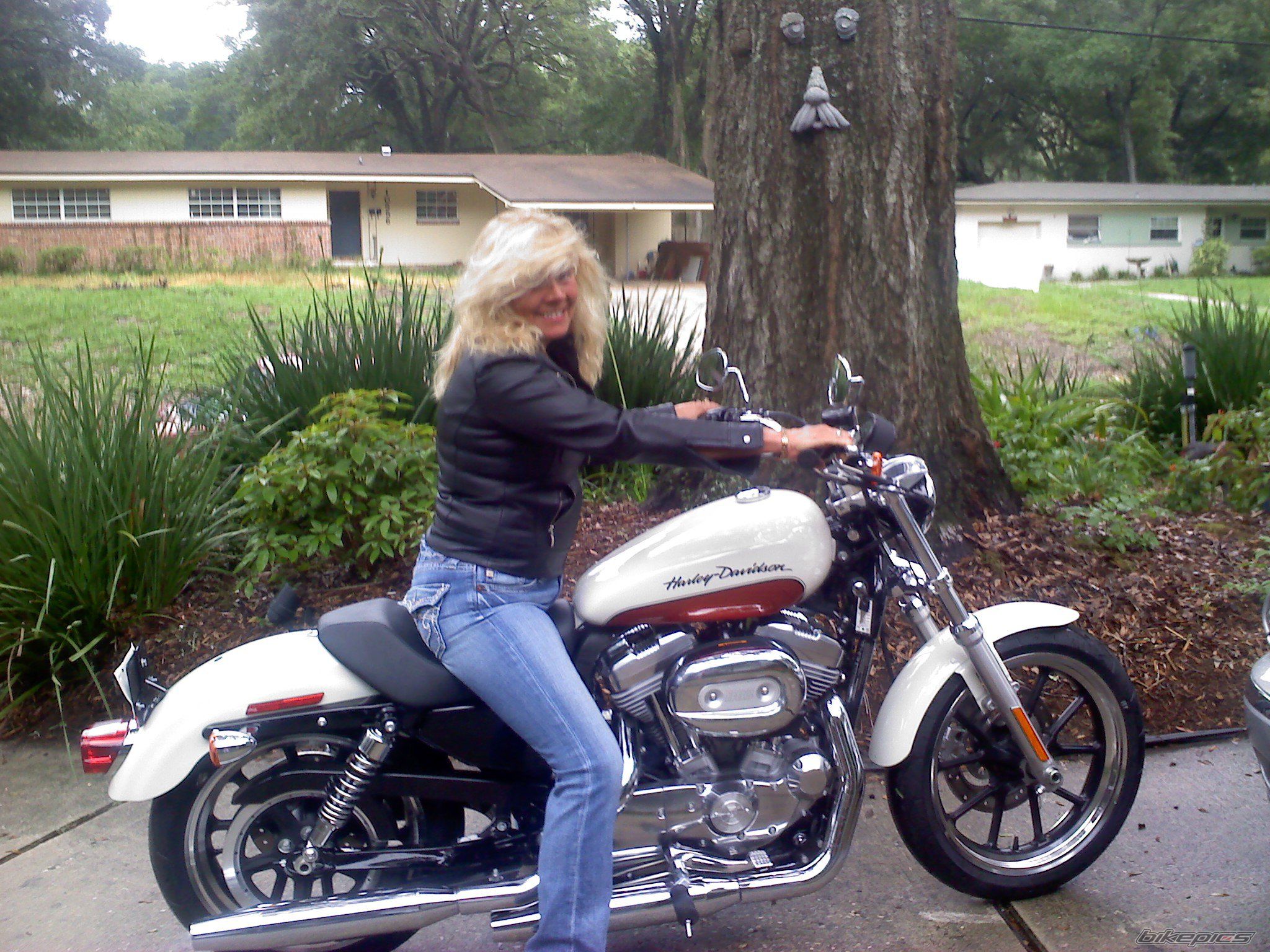 2011 HARLEY DAVIDSON XL 883 SPORTSTER | Picture 2251632 motorcycle photo