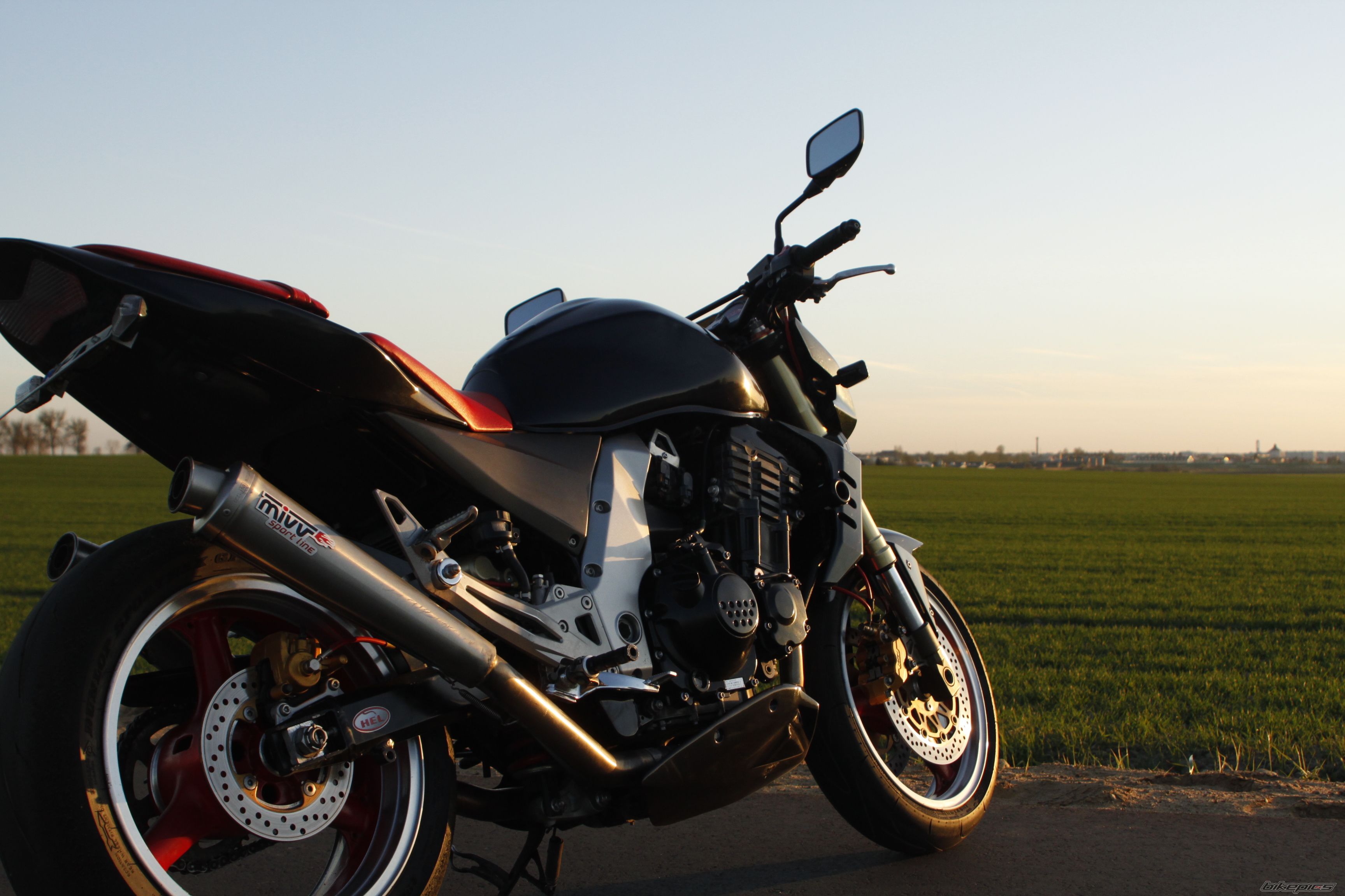 2003 KAWASAKI Z 1000 | Picture 2252627 motorcycle photo