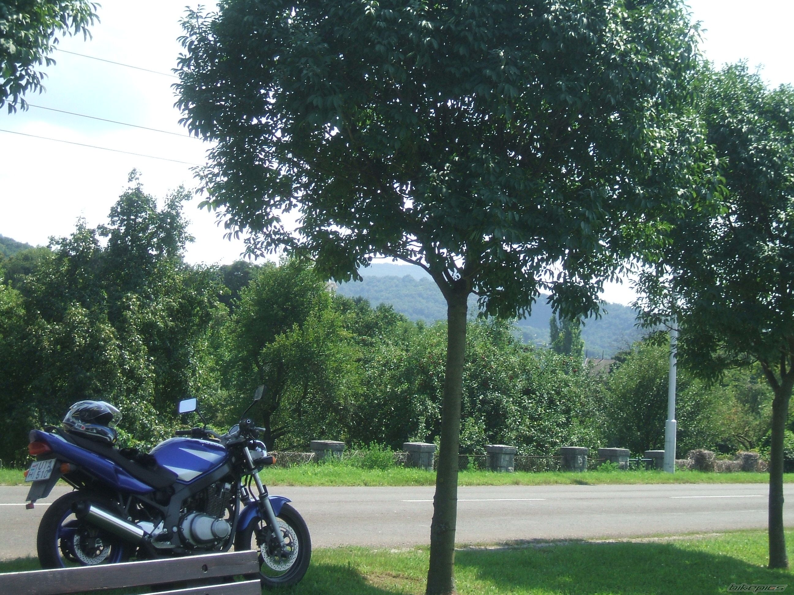 2004 SUZUKI GS 500 | Picture 2252631 motorcycle photo