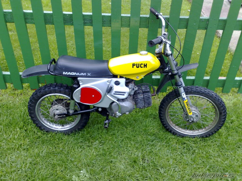 1987 PUCH MINICROSS | Picture 2252808 motorcycle photo